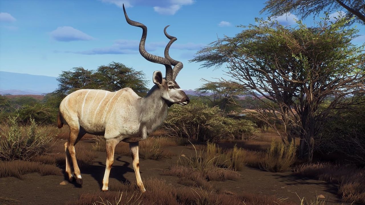 THQ Nordic Spielesoftware »Way of the Hunter - Wild Expeditions«, PlayStation 5