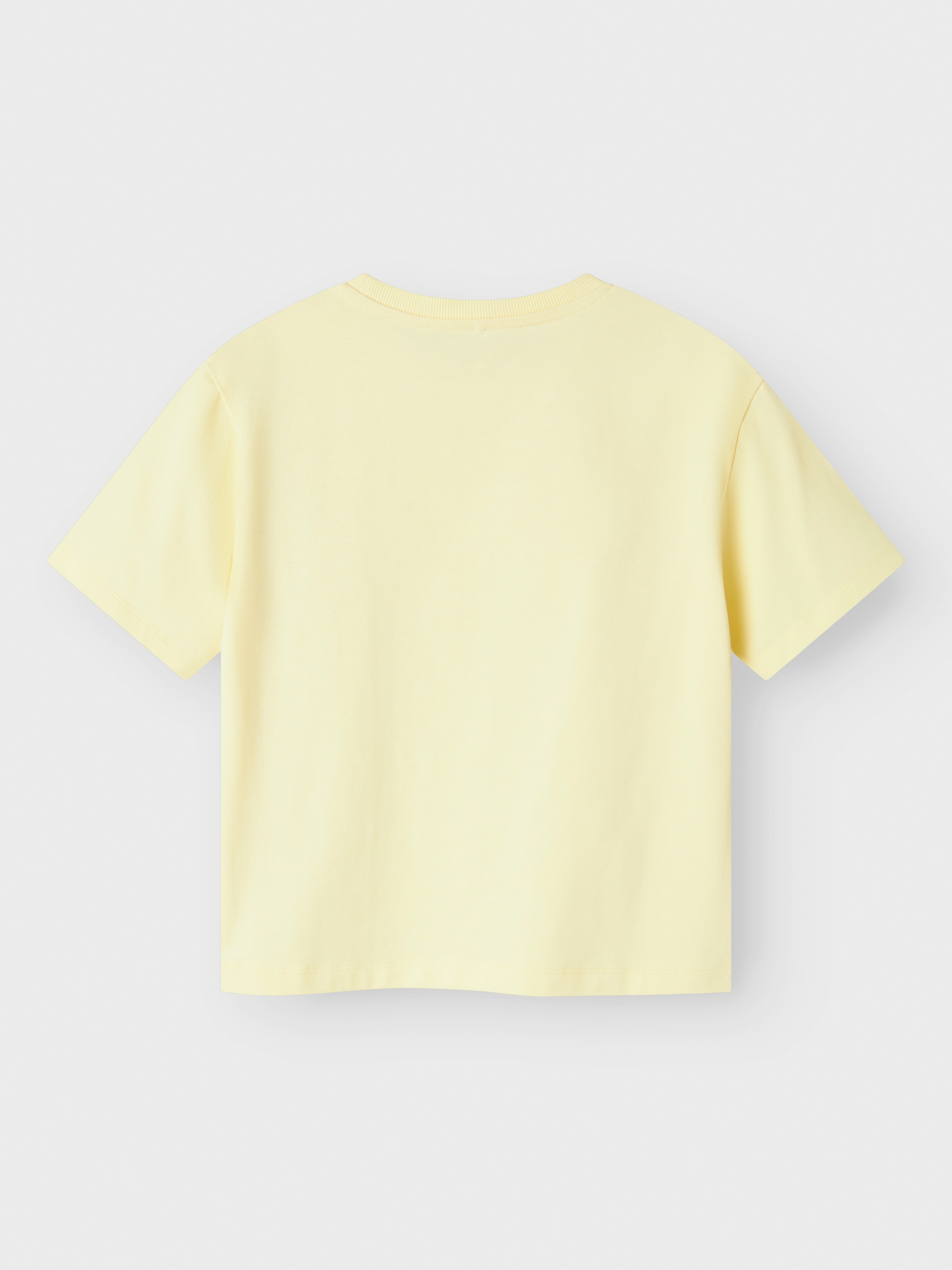Name It T-Shirt »NKFGREGA SS NREG TOP NOOS«