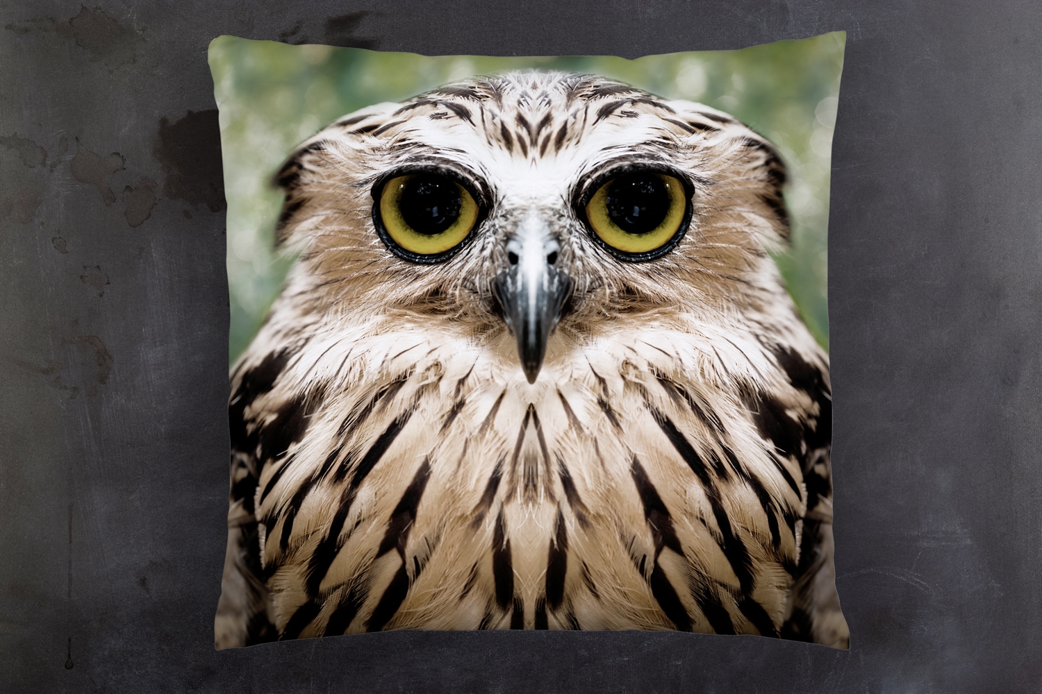 queence Dekokissen »Eule«, Kissenhülle mit HD Premium Druck, geruchsneutral, 40x40cm