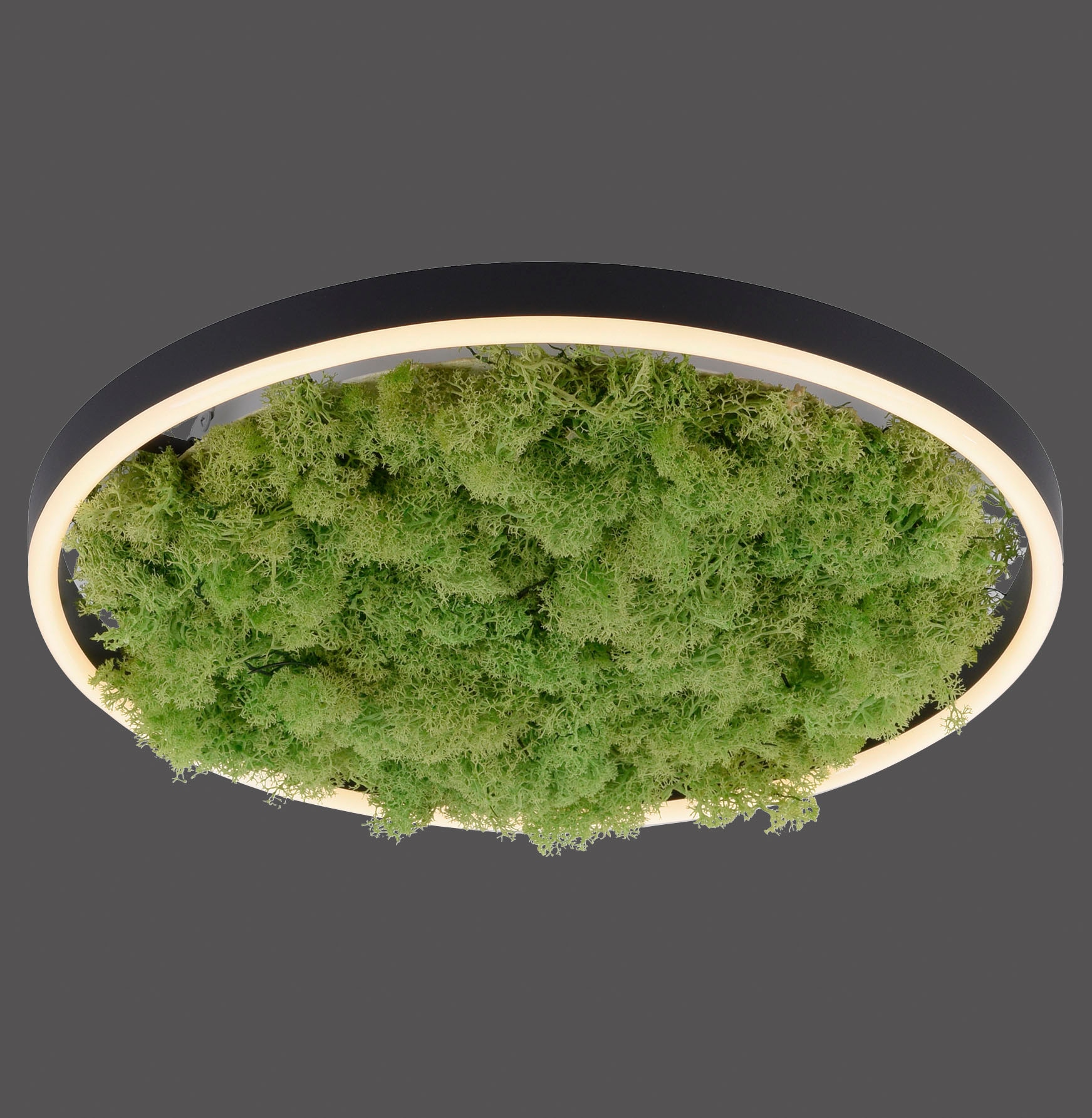 JUST LIGHT Deckenleuchte »GREEN RITU«, 1 flammig, Leuchtmittel LED-Board | LED fest integriert