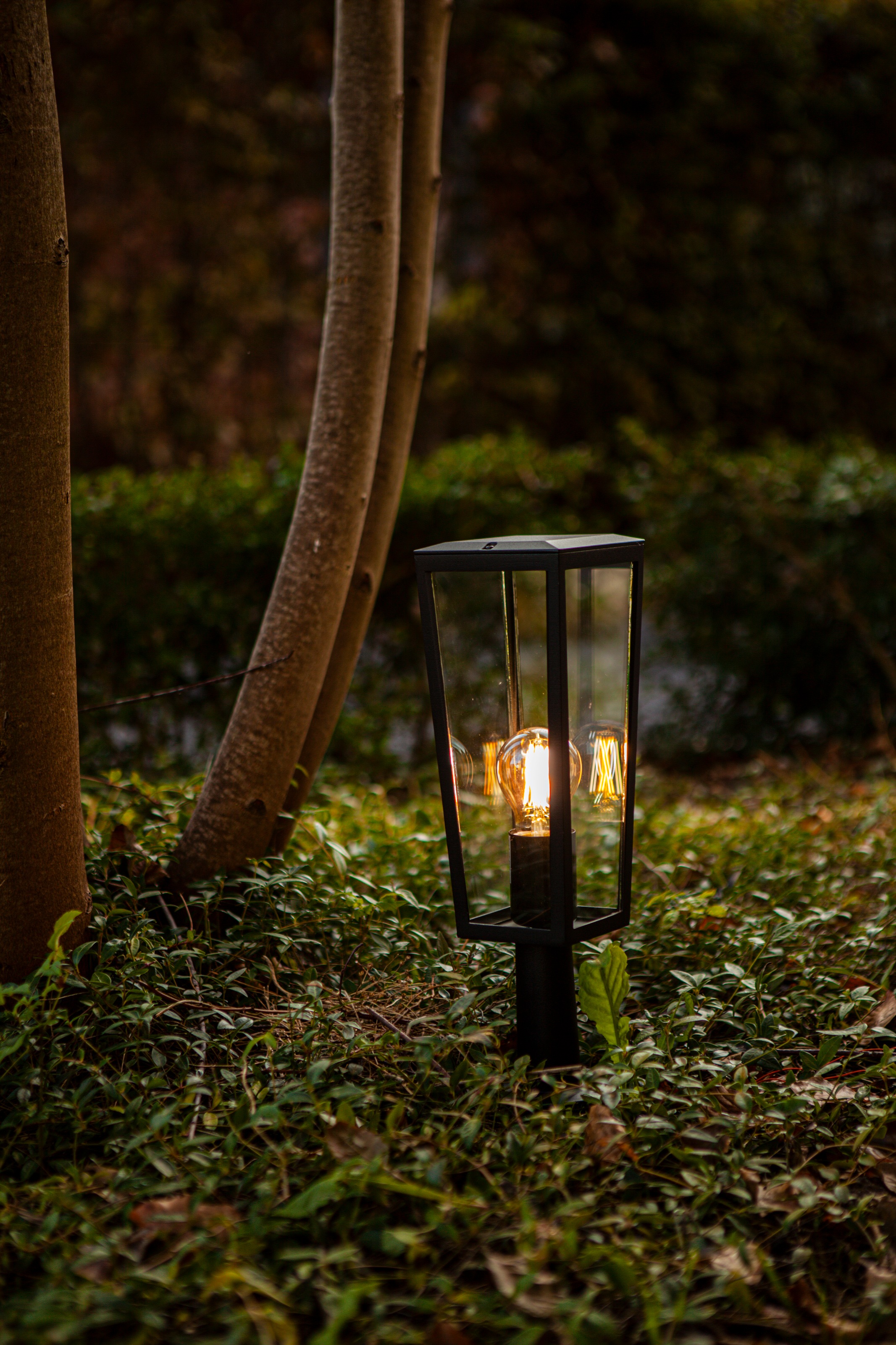 LUTEC Außen-Stehlampe »Aussensockelleuchte PINE«, 1 flammig, Leuchtmittel E27 | ohne Leuchtmittel