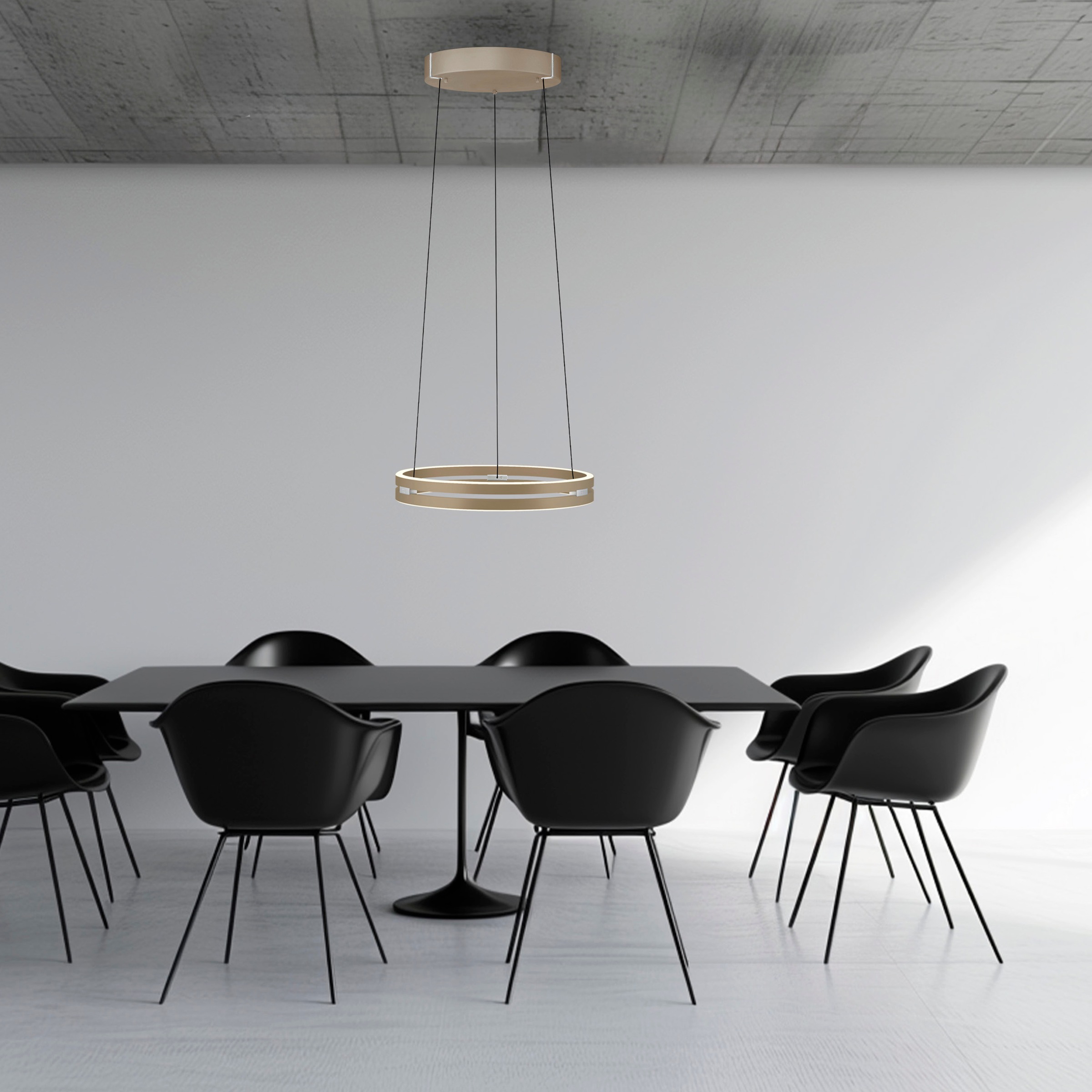 Neuhaus PURE LED Pendelleuchte »PURE E-Loop« LED-Board 1 Stk. warmweiß - kaltweiß e-LIFT® Funktion, CCT, dimmbar über Fernbedienung