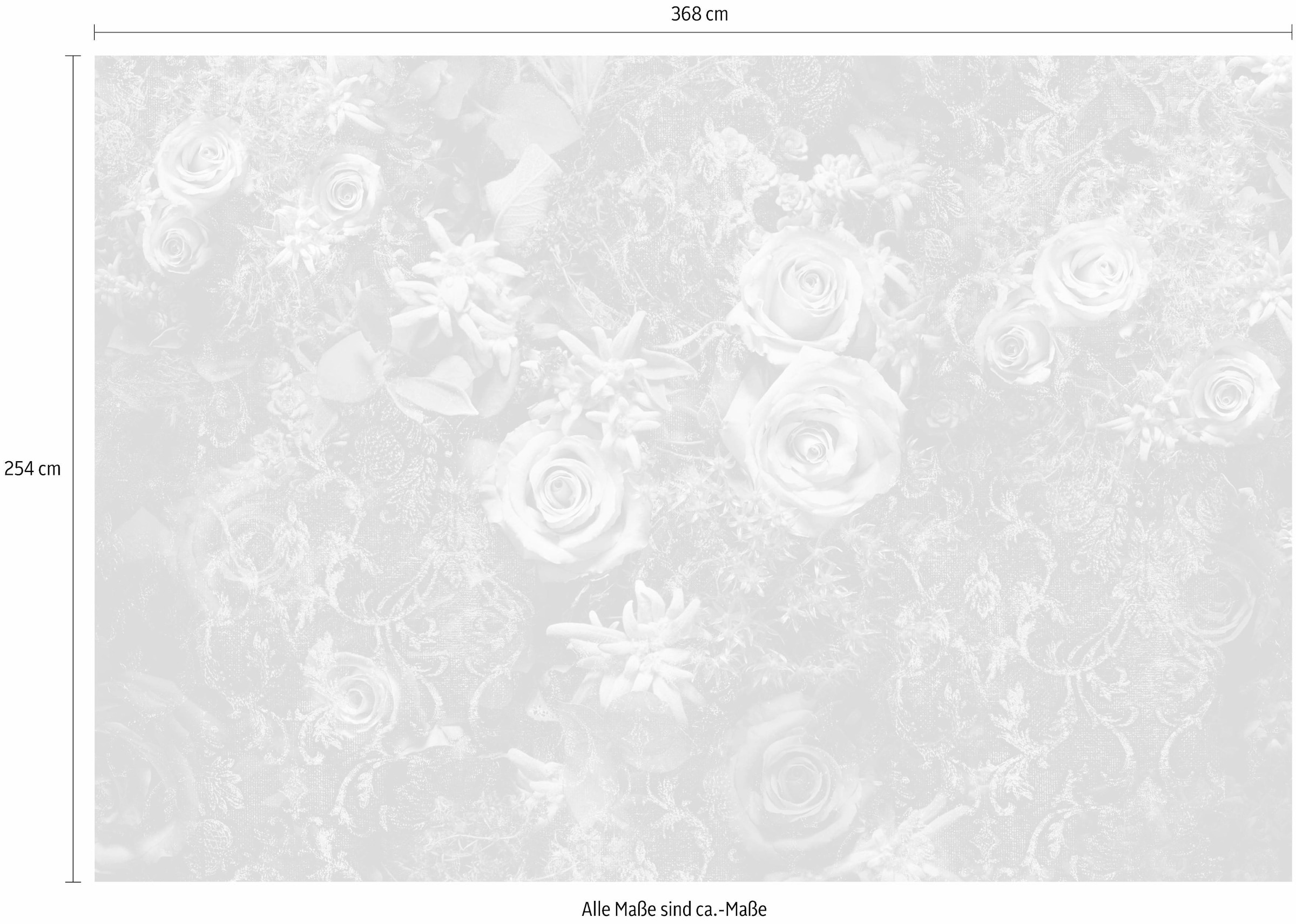 Komar Fototapete »Velvet - Größe 368 x 254 cm« bedruckt glatt Wohnzimmer, Schlafzimmer