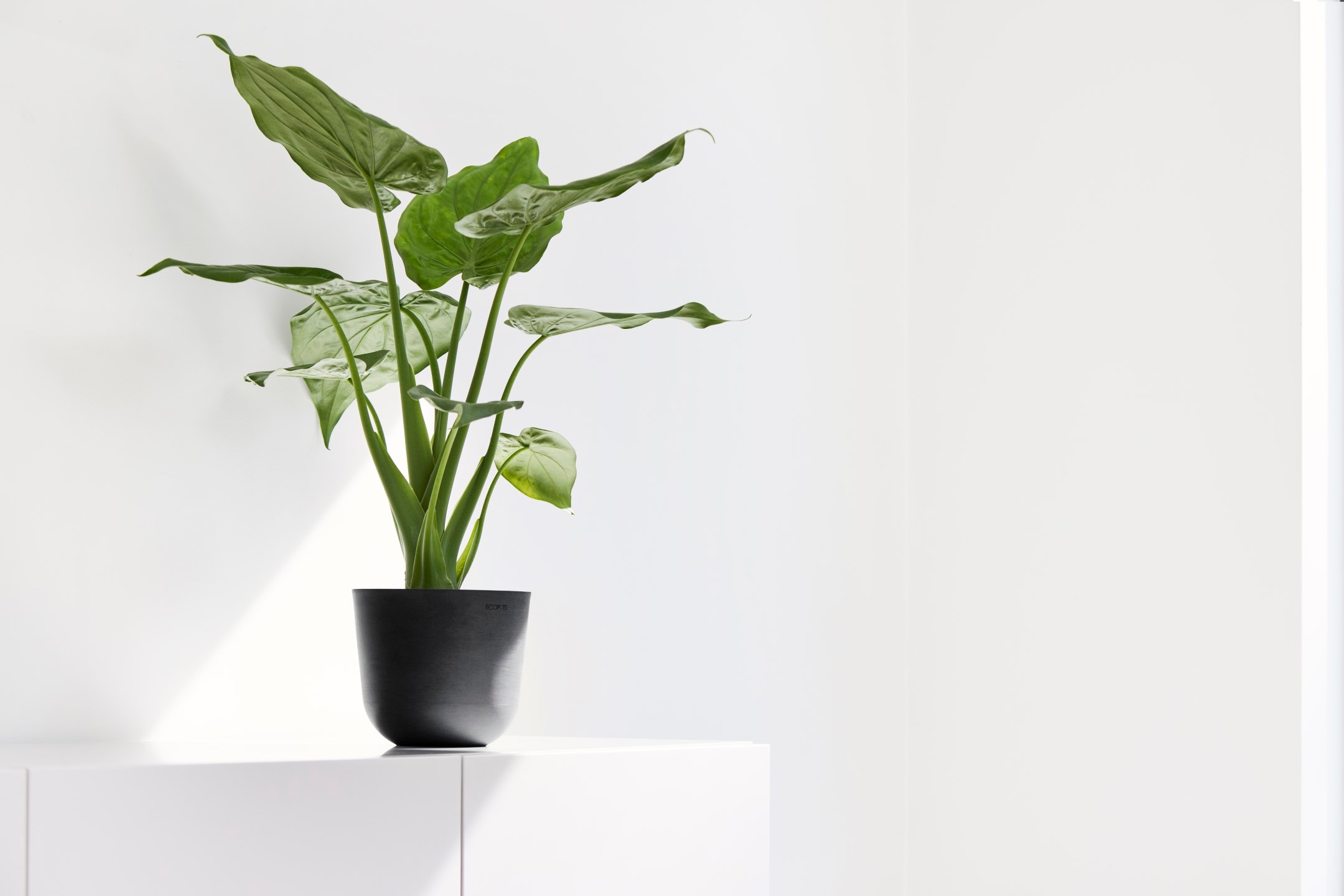 ECOPOTS Blumentopf »Oslo Mini 16 Dunkelgrau« für den Innenbereich