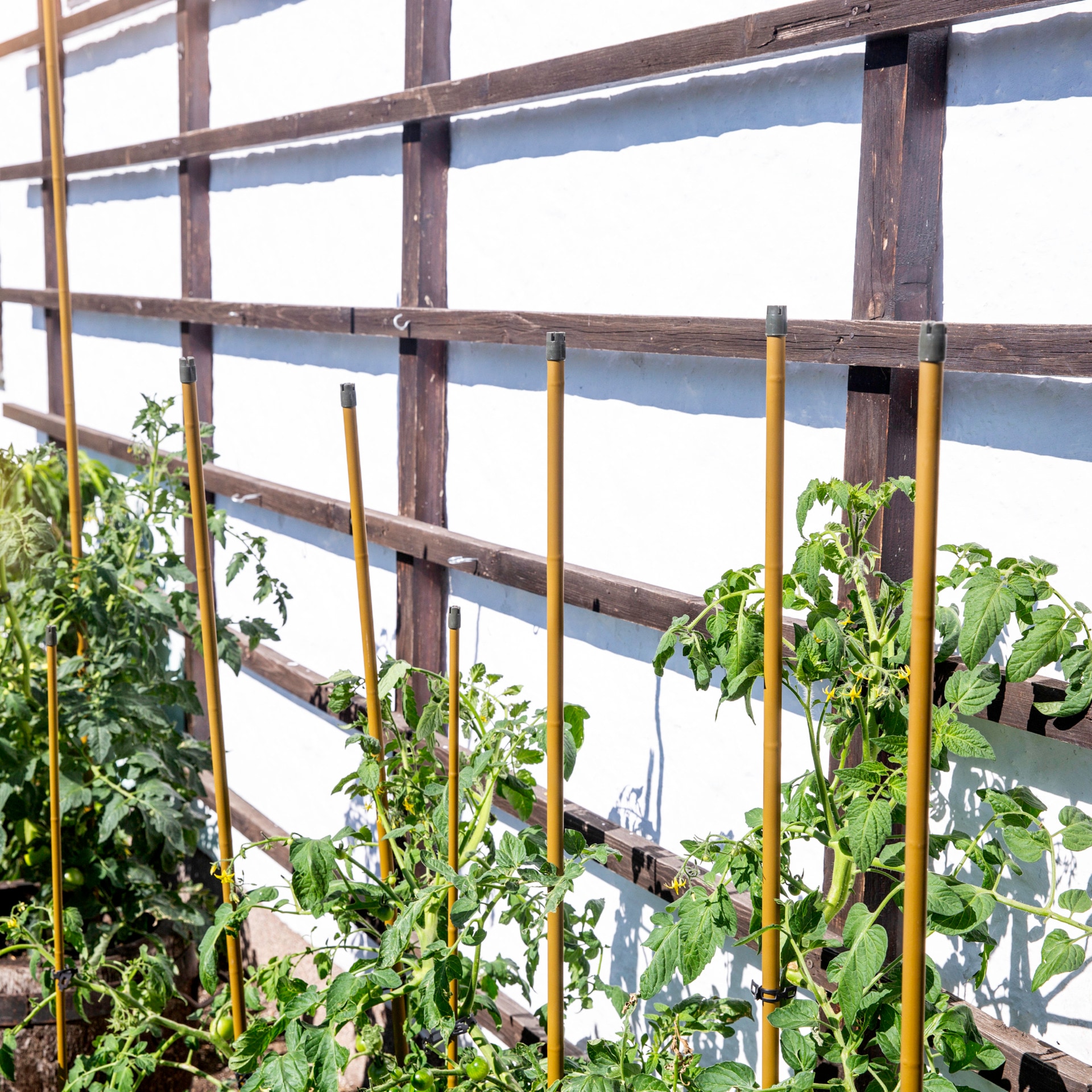 Windhager Rankhilfe »Stahlpflanzstab Bambus, Pflanzenstütze für hochwachsende Pflanzen« Rankstab wetterfest, erhältlich in unterschiedlichen Größen