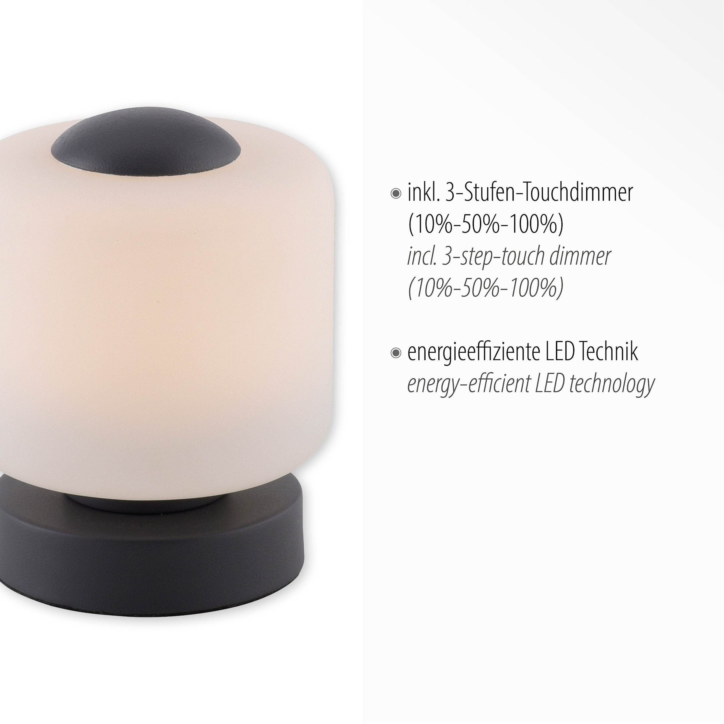 Paul Neuhaus Tischleuchte dimmbar LED, bestellen 1 online flammig-flammig, »BOTA«, über Touchdimmer