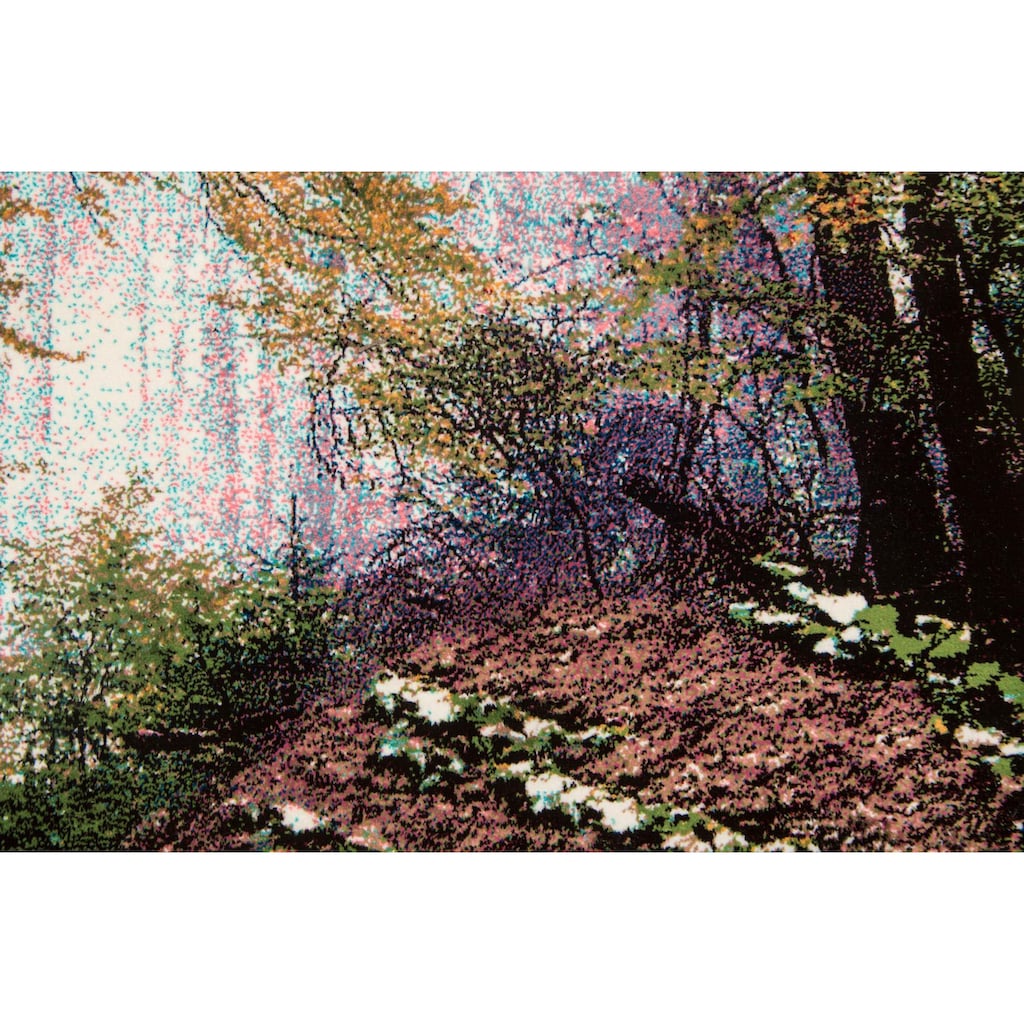 morgenland Wandteppich »Bild-Teppich Figurativ 115 x 65 cm«, rechteckig