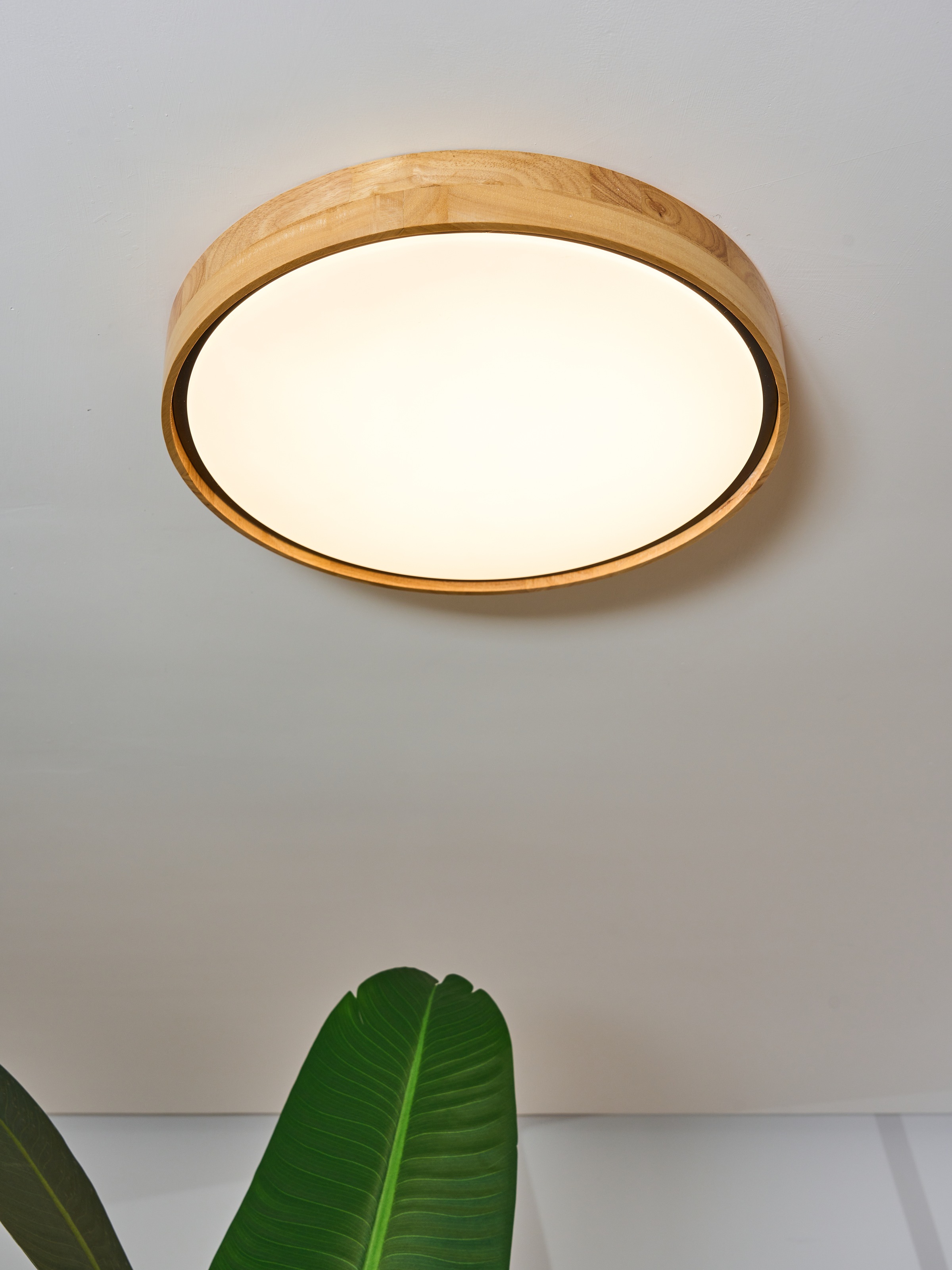 ECO-LIGHT LED Deckenleuchte »LED-Deckenleuchte PUINEN«, 1 flammig, Leuchtmi günstig online kaufen