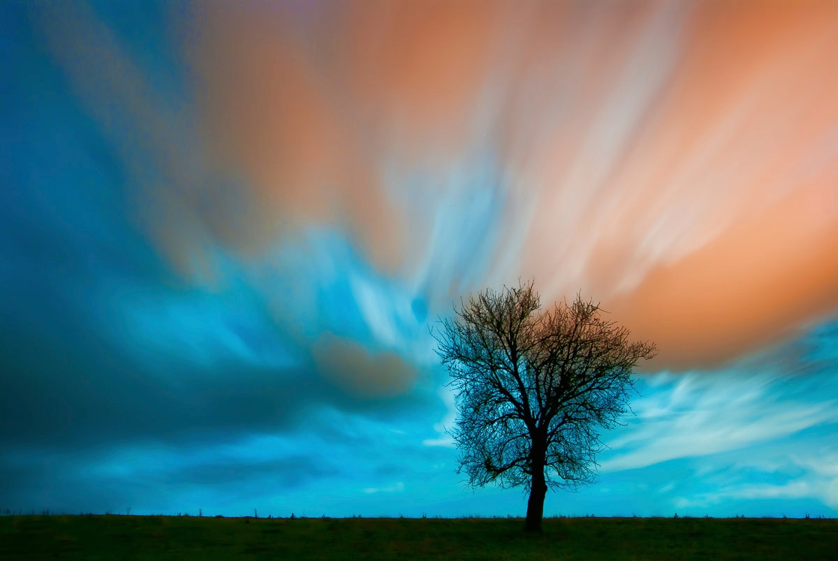 Papermoon Fototapete »Baum auf Wiese« günstig online kaufen