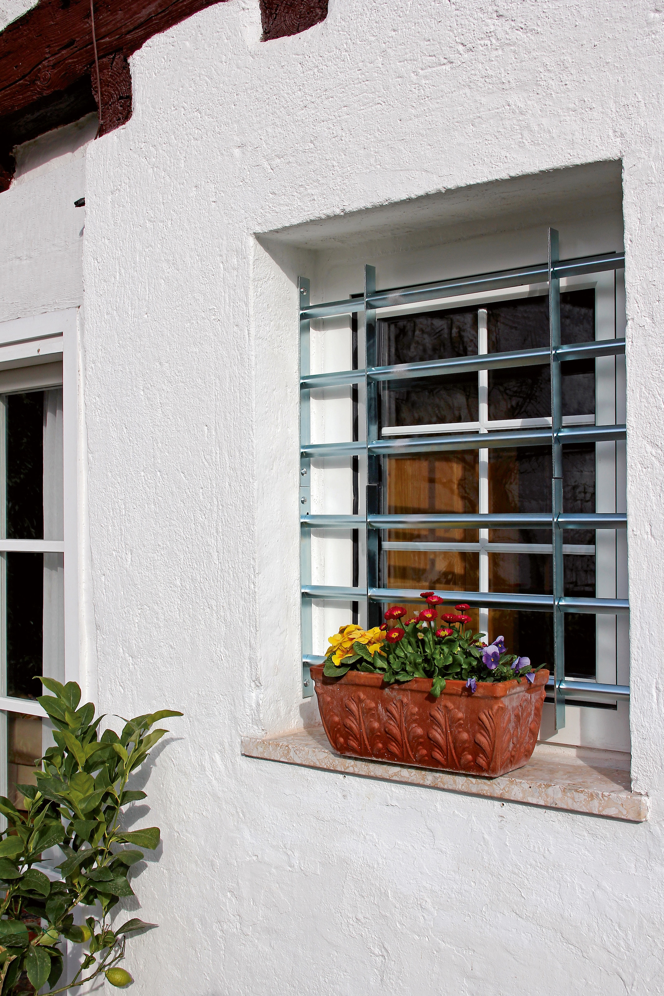Alberts Fensterschutzgitter »Secorino Basic« Breite: 50 - 65 cm und 70 - 105 cm, Höhe: 30 und 45 cm