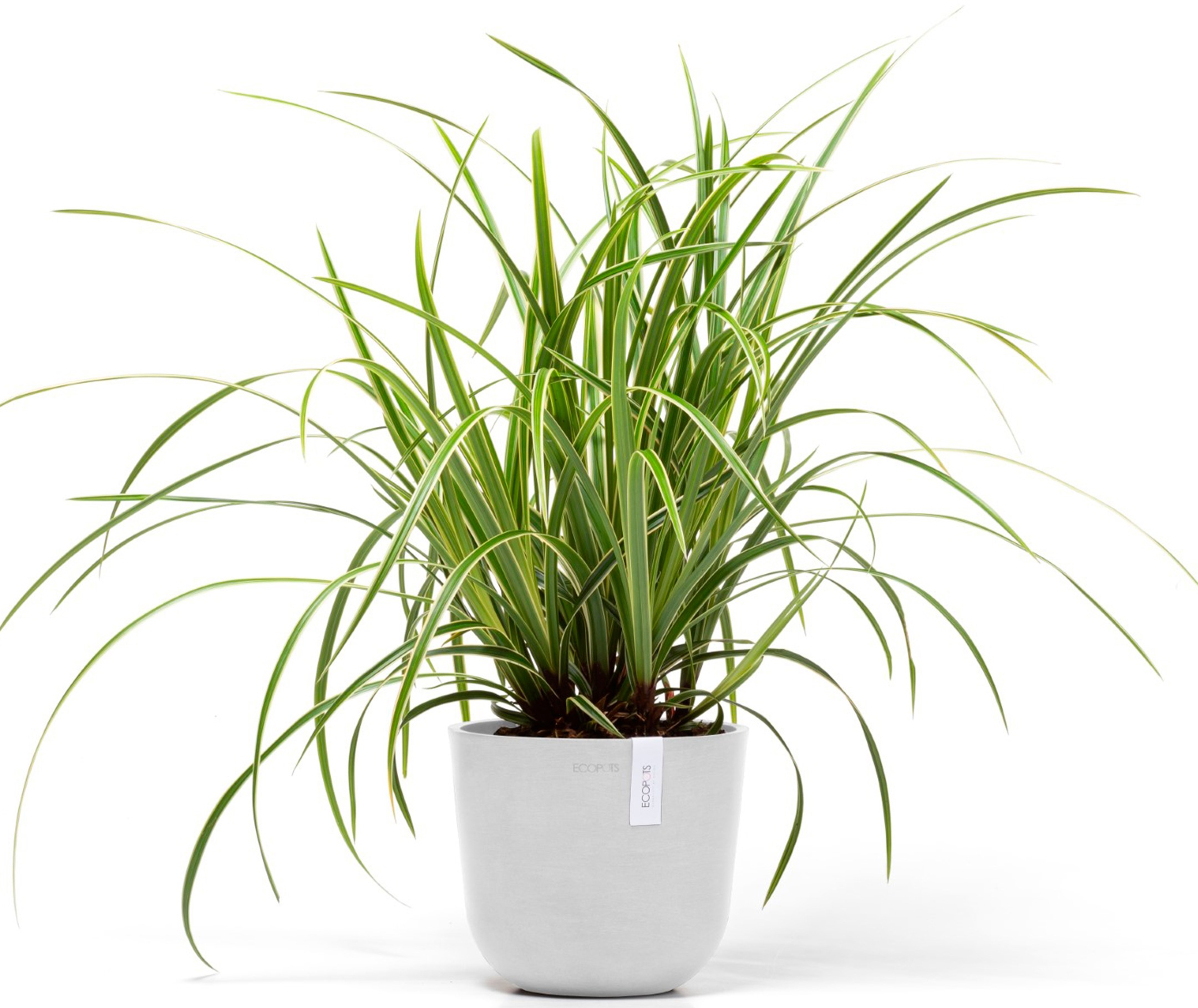 ECOPOTS Blumentopf »Oslo Mini 19 Weiß«, für den Innenbereich