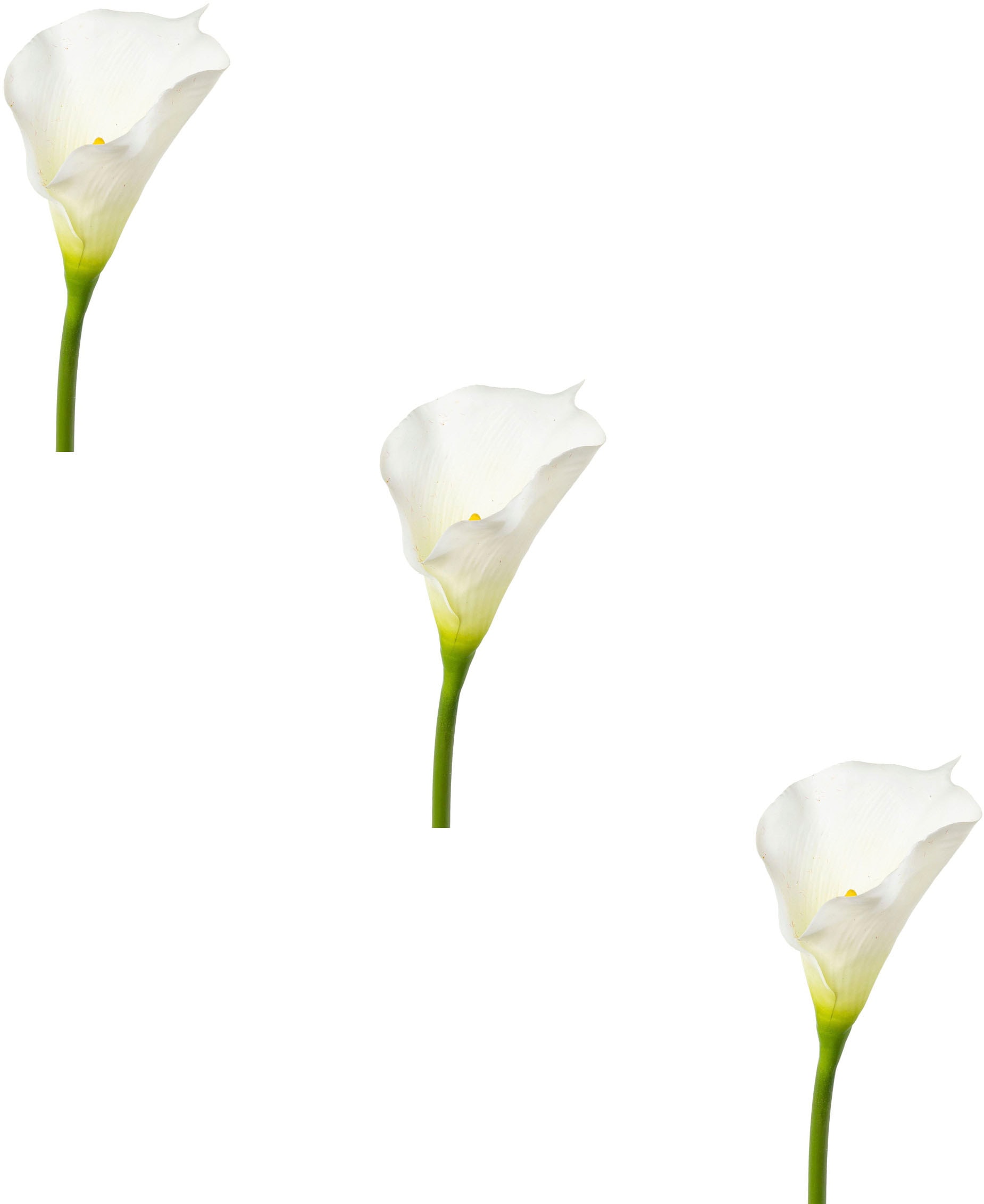 Creativ green Kunstblume »Calla«