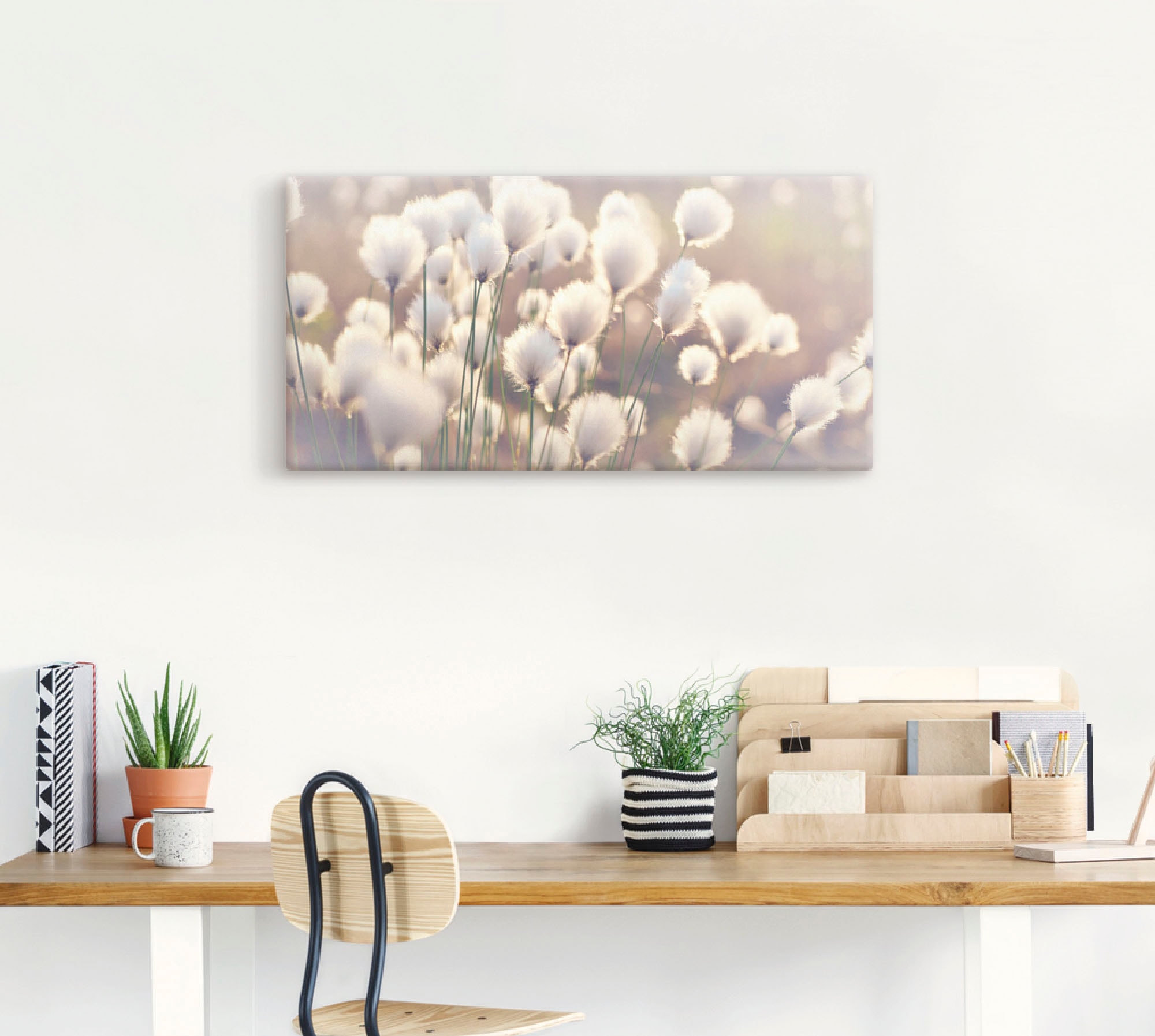 Artland Wandbild »Wollgraszauber im Moor«, Gräser, (1 St.), als Alubild, Outdoorbild, Leinwandbild, Poster, Wandaufkleber
