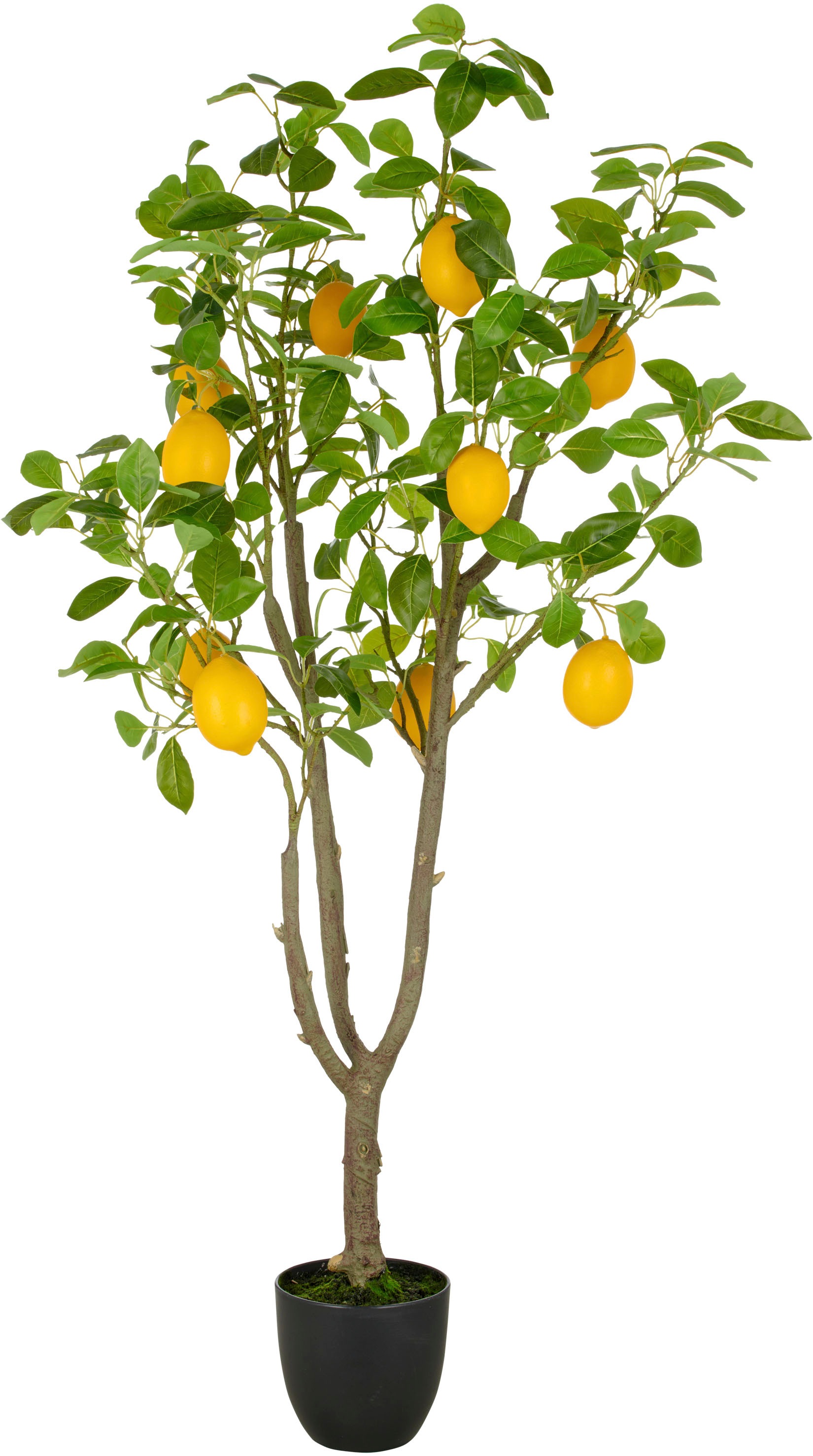 Creativ green Kunstbaum »Zitrone« mit detailgetreuer Gestaltung günstig online kaufen