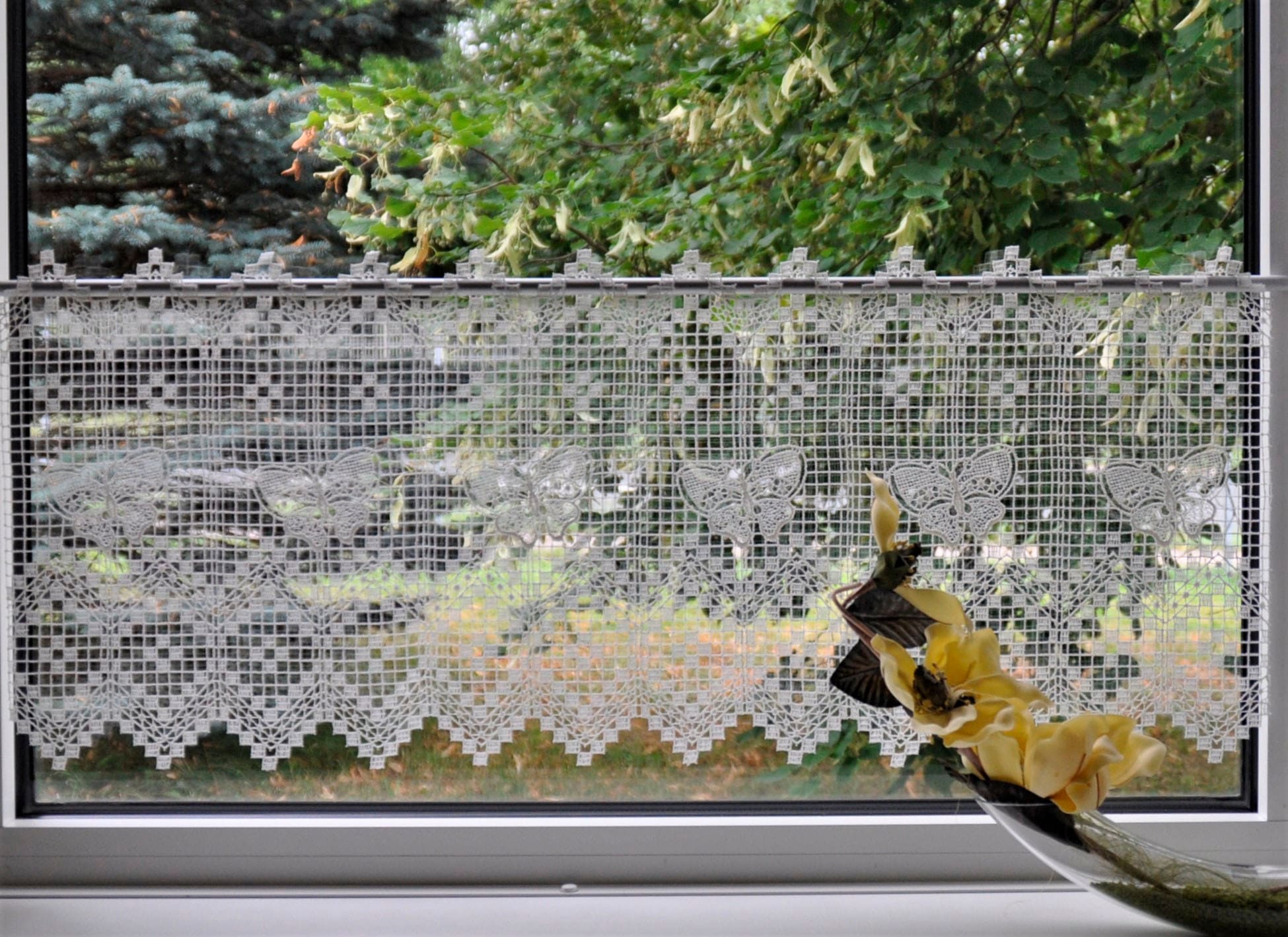 Stickereien Plauen Scheibengardine »Butterfly« Stangendurchzug 1 Stk. tlg. günstig online kaufen