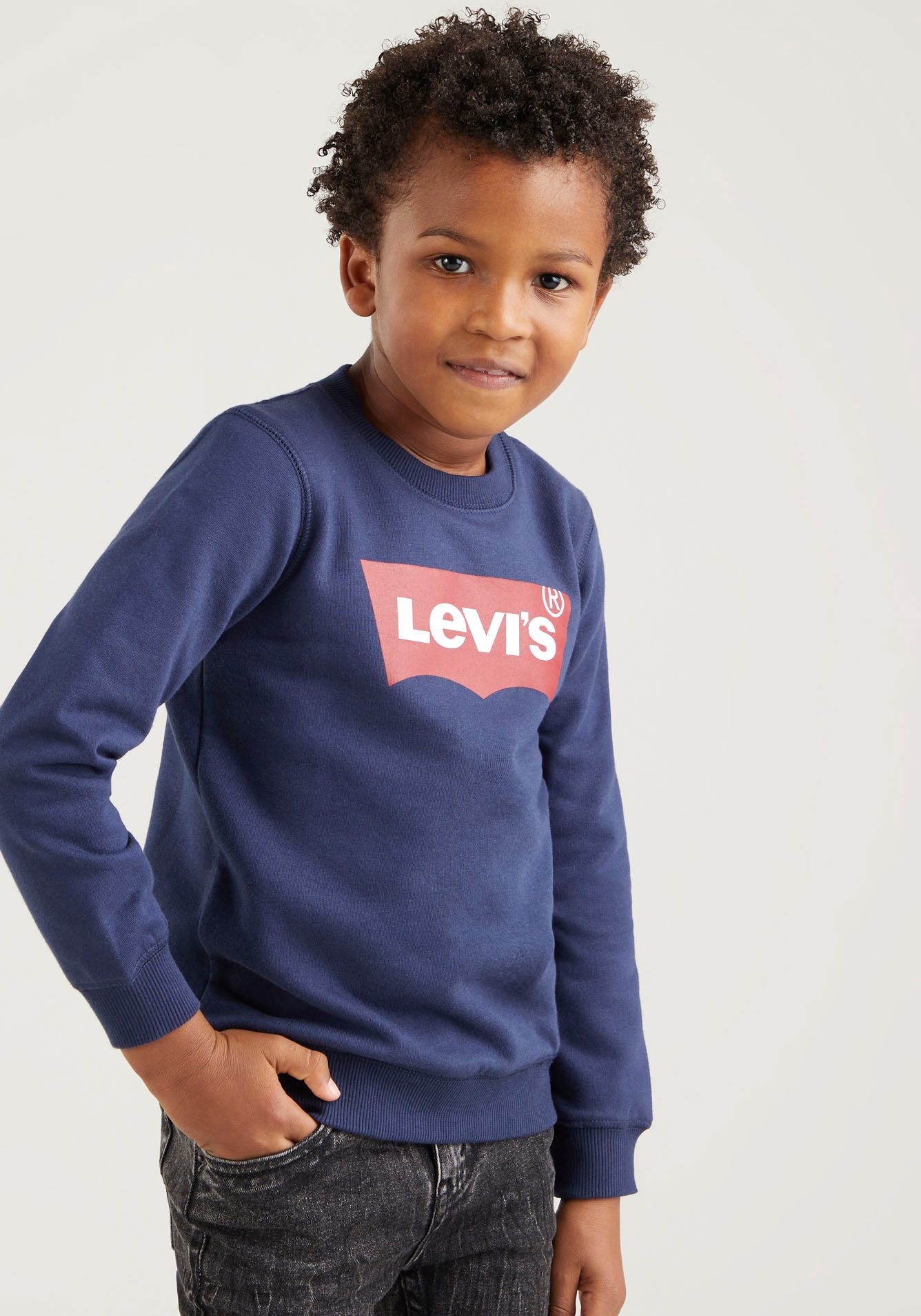 Levi's® Kids Sweatshirt »LVB LVB FRENCH TERRY BATWING«, mit großem Logo