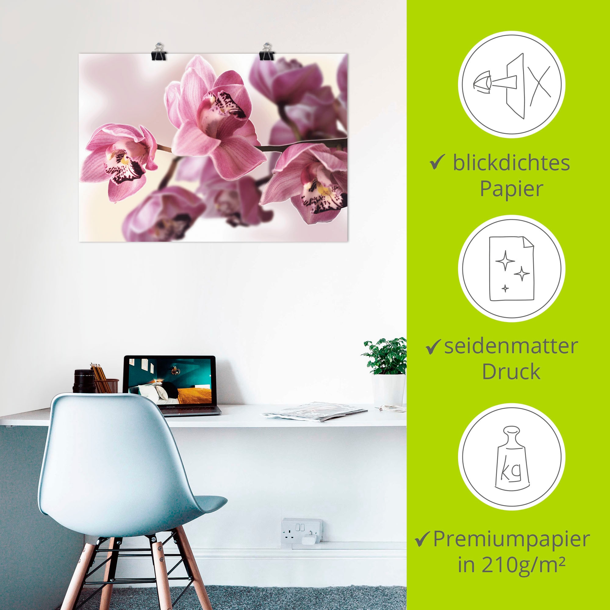 Artland Wandbild »Rosa Orchidee«, Blumenbilder, (1 St.), als Alubild, Outdoorbild, Leinwandbild, Poster, Wandaufkleber