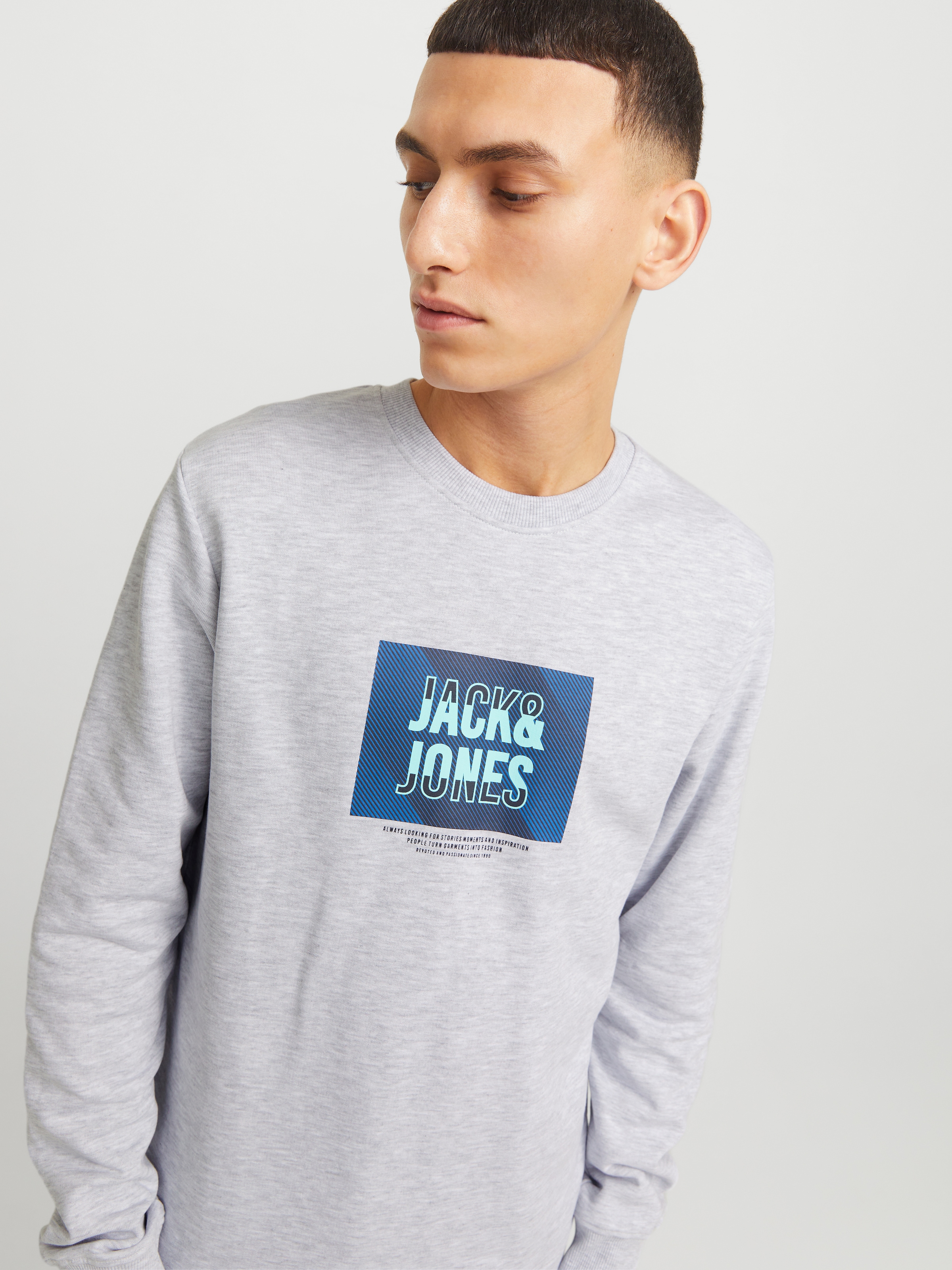 Jack & Jones Sweatshirt »JJHUDSON – Sweatshirt mit Print, Rundhals und Kapuze«, Print, modisch, regular fit, angeraute Sweatware, Rundhals
