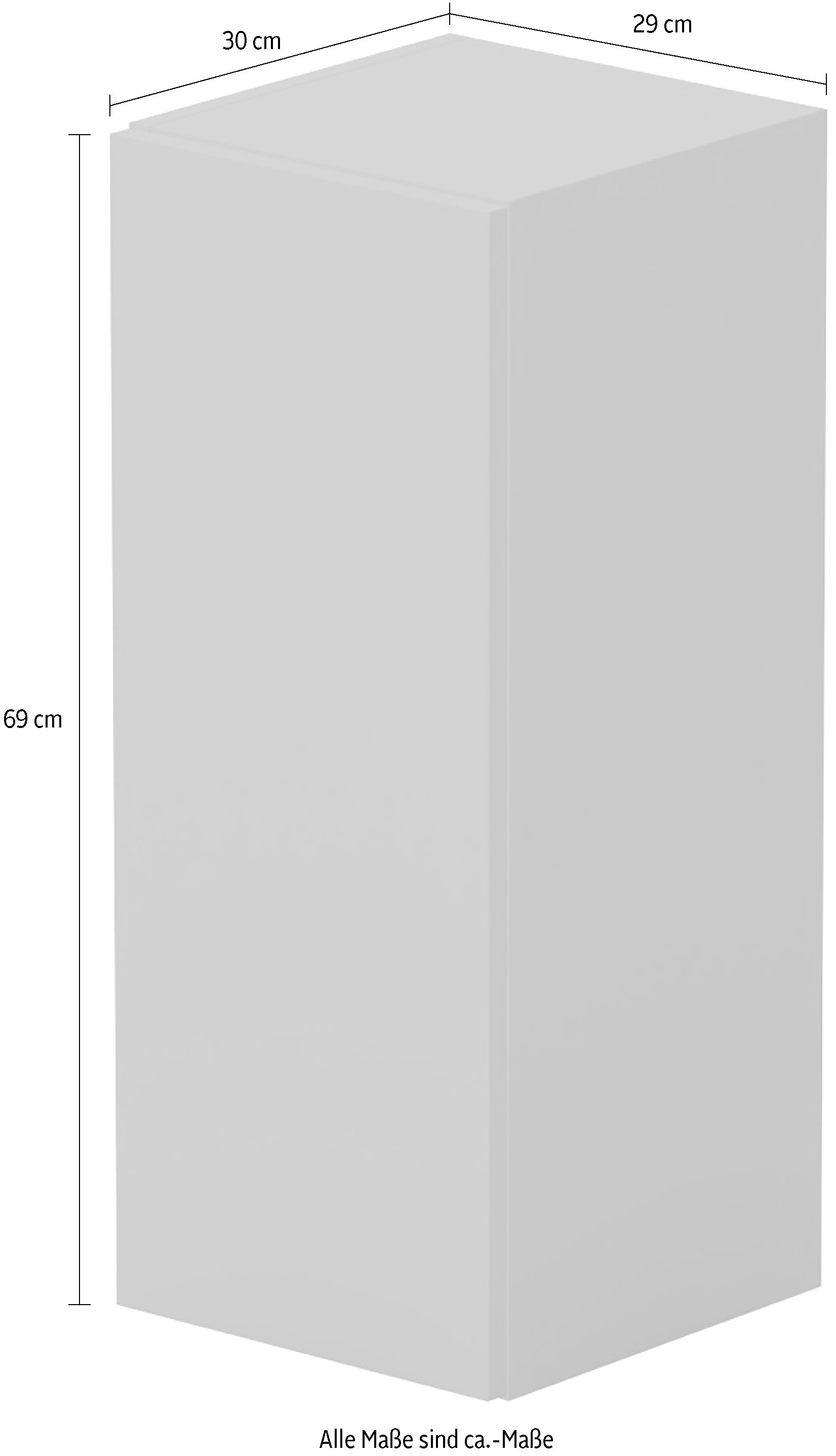 INOSIGN Mehrzweckschrank »Infinity Breite 29 cm, Höhe 69 cm, Hängeschrank mit 1 Tür,«, Wandschrank senkrecht zu hängen, verschiedene Farben