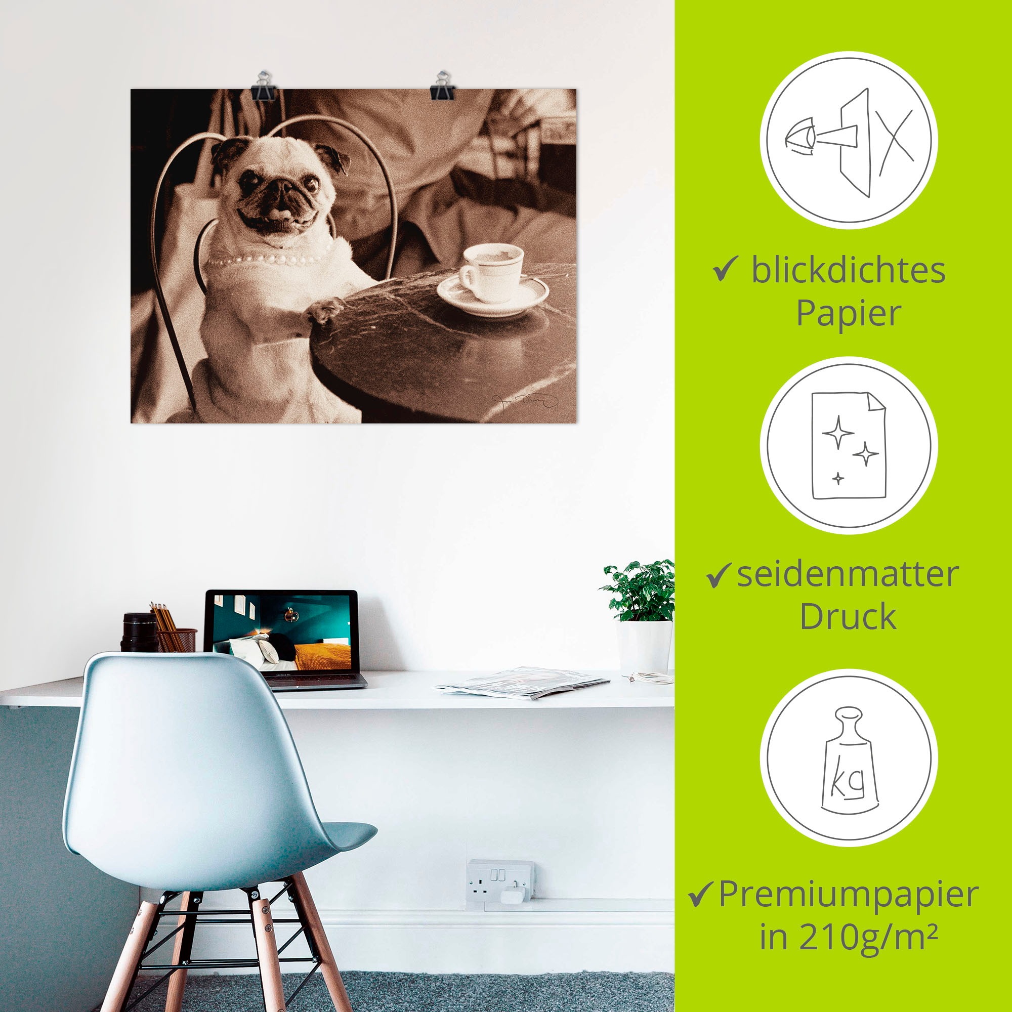 Artland Wandbild »Kaffee Mops«, Haustiere, (1 St.), als Leinwandbild, Poster, Wandaufkleber in verschied. Größen
