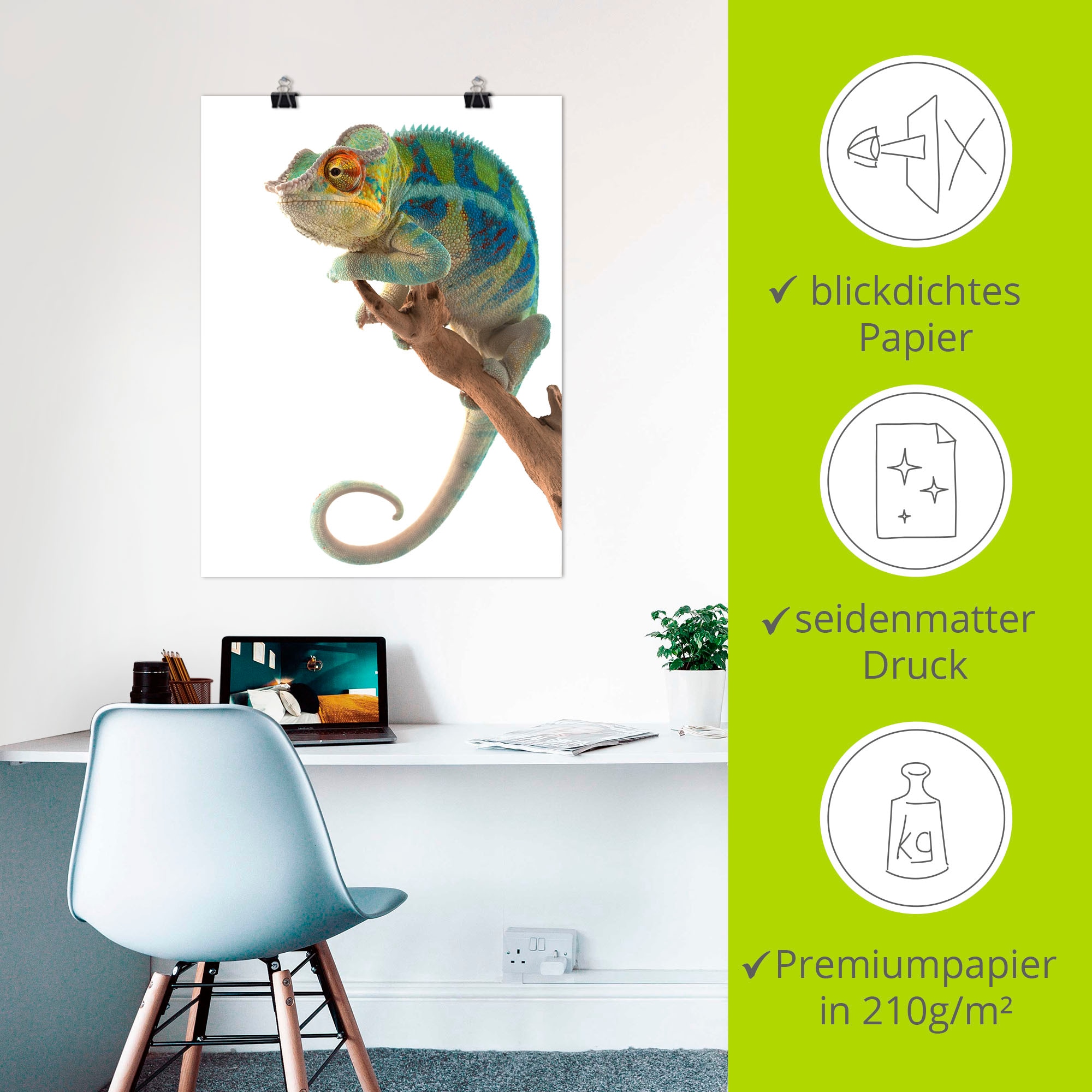 Artland Wandbild »Ambanja Panther Chamäleon«, Reptilien, (1 St.), als Leinwandbild, Poster in verschied. Größen