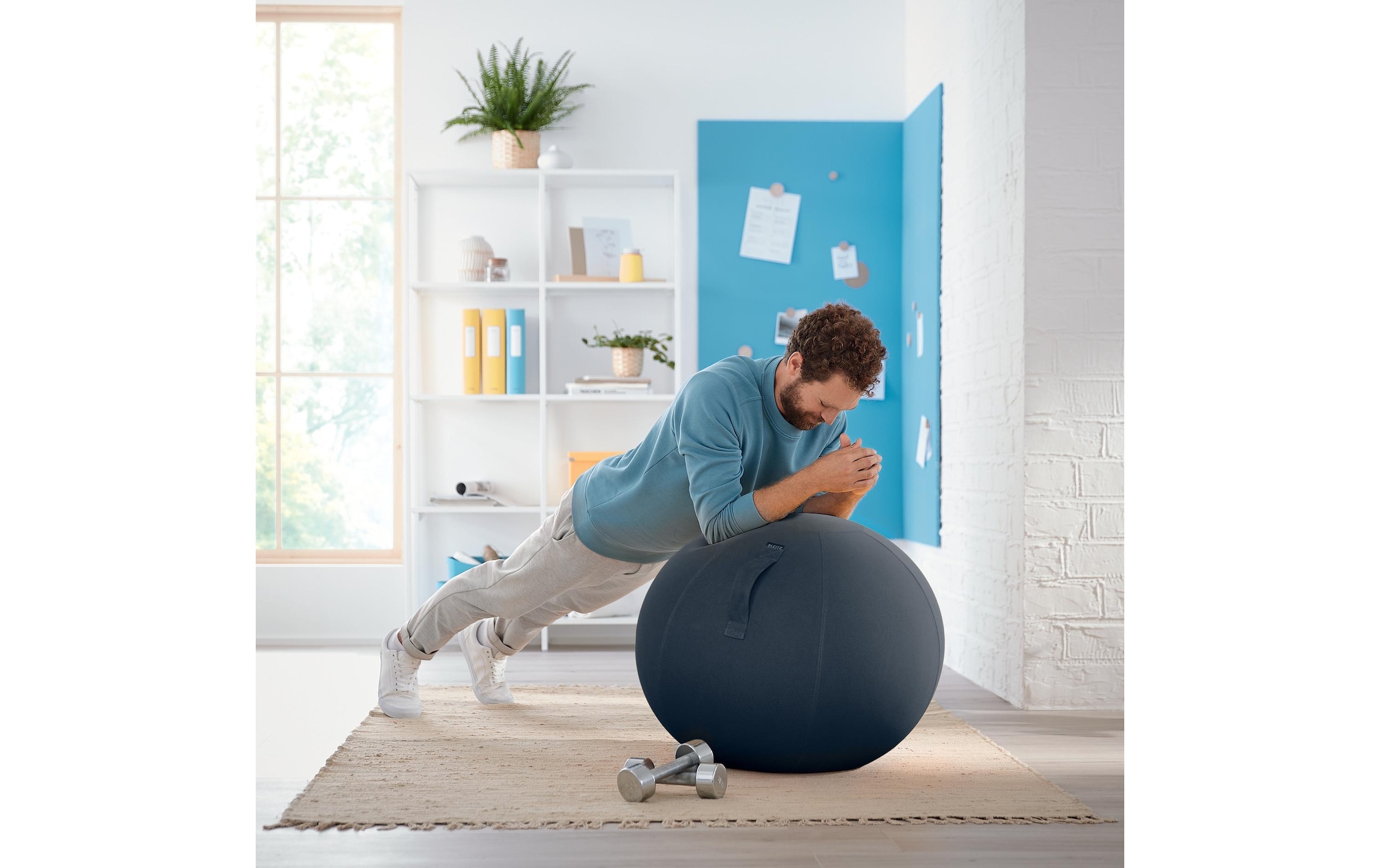 LEITZ Sitzball »Ergo Cosy«
