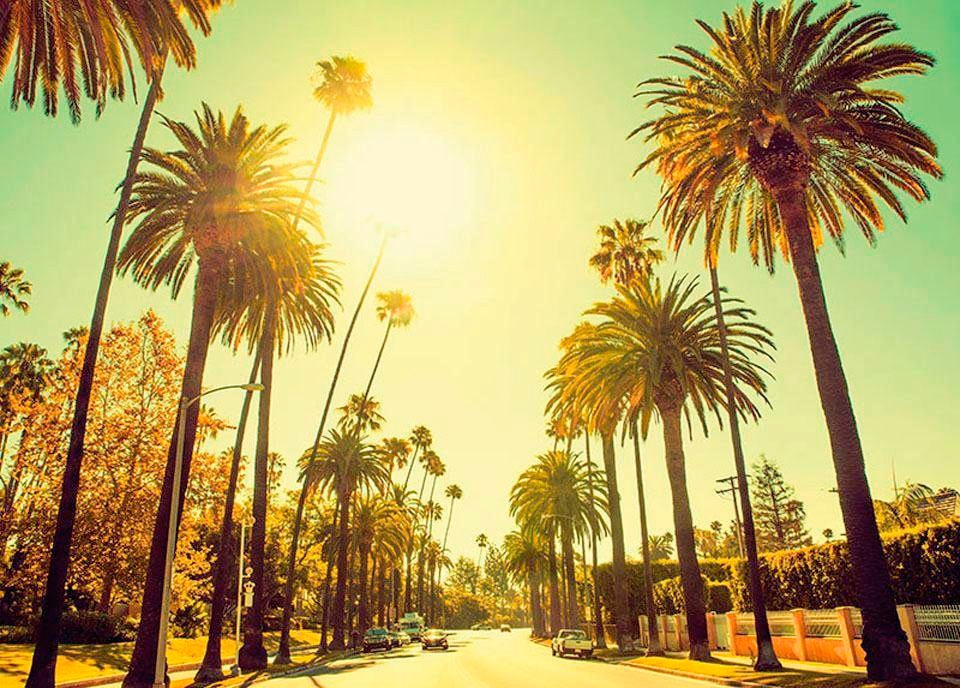 Komar Bild »Palm Alley«, Städte, (1 St.), Wandbild zur Dekoration - ohne Rahmen