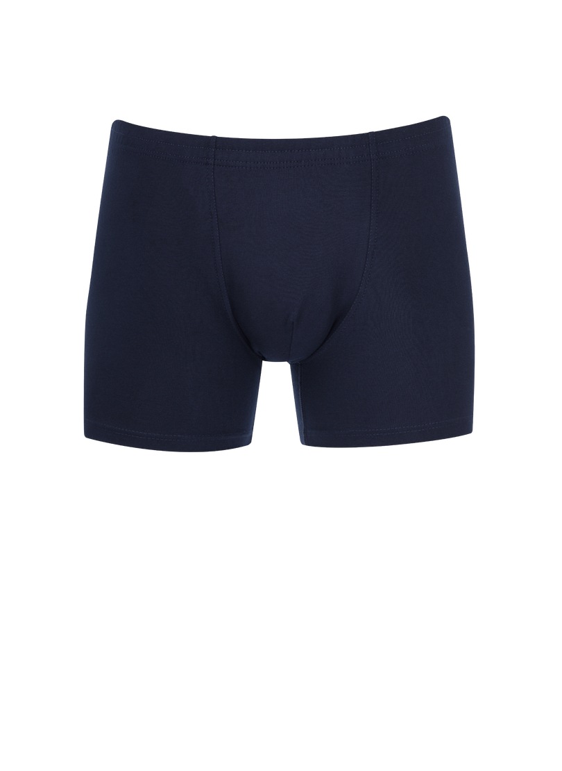 Trigema Boxer »TRIGEMA Herren Pant in bequemer Stretch-Qualität«, (1 St.)