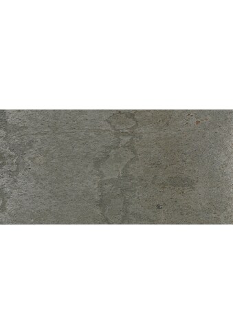 Slate Lite Dekorpaneele »Argento«, (1 tlg.), aus Naturstein kaufen