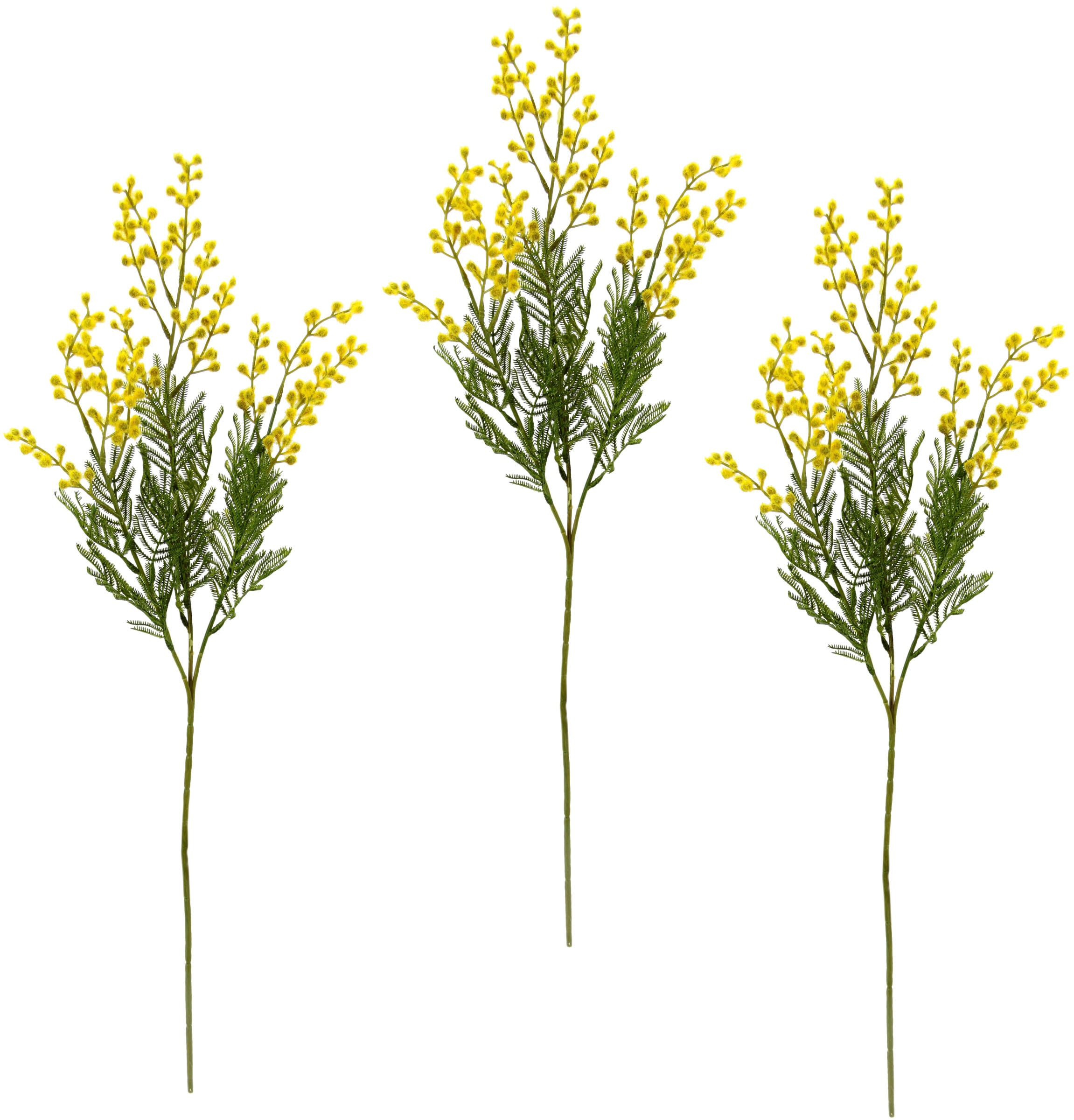 I.GE.A. Kunstblume »Mimosen auf Raten Zweig«, Set 3er bestellen
