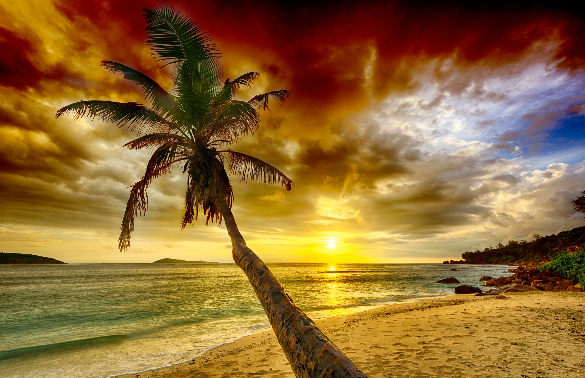 Papermoon Fototapete »PALMEN-STRAND-KARIBIK SÜDSEE MEER DÜNEN SONNE OZEAN X günstig online kaufen