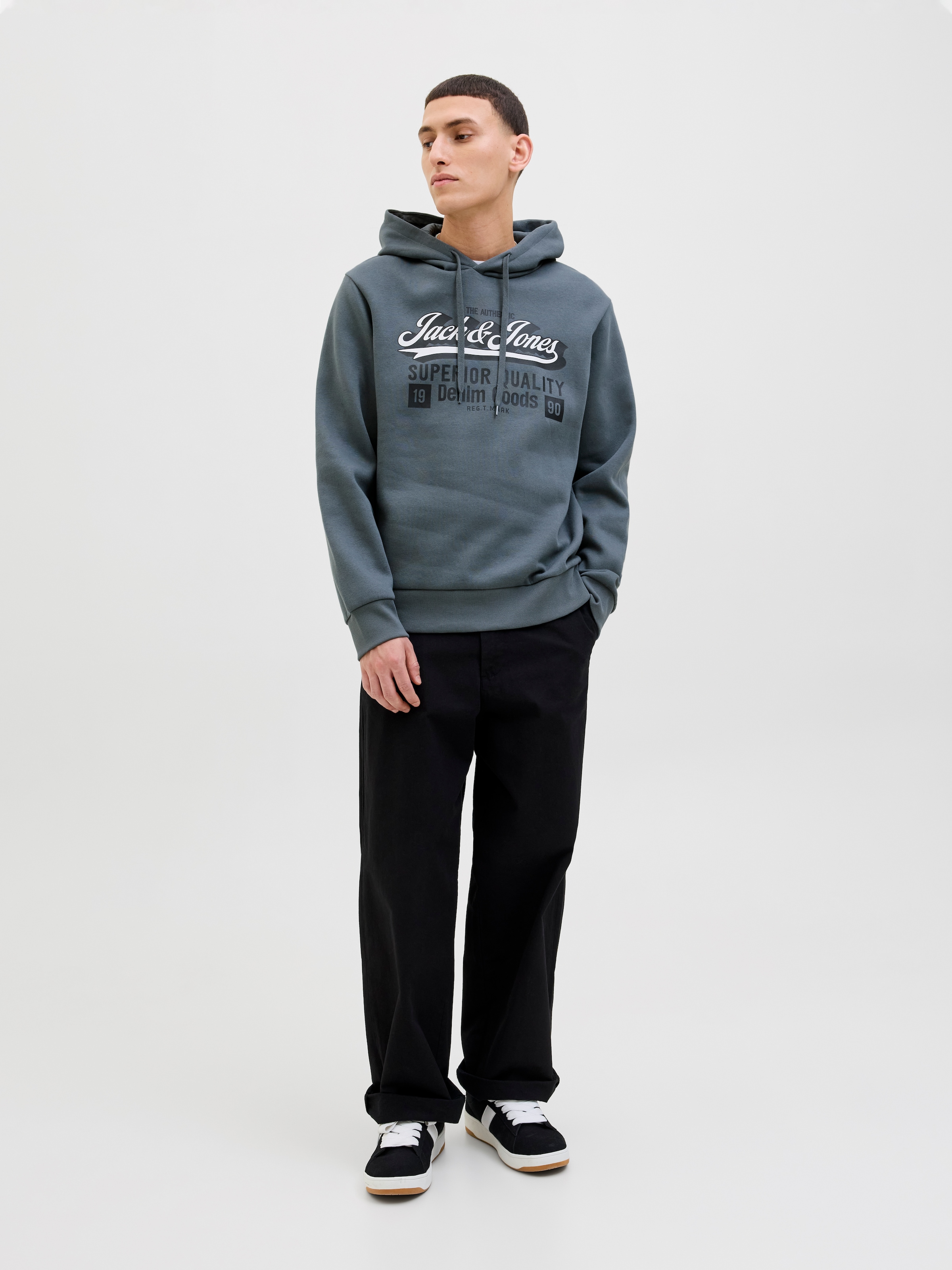 Jack & Jones Kapuzensweatshirt »JJELOGO SWEAT HOOD 2 COL 25/26 NOOS«