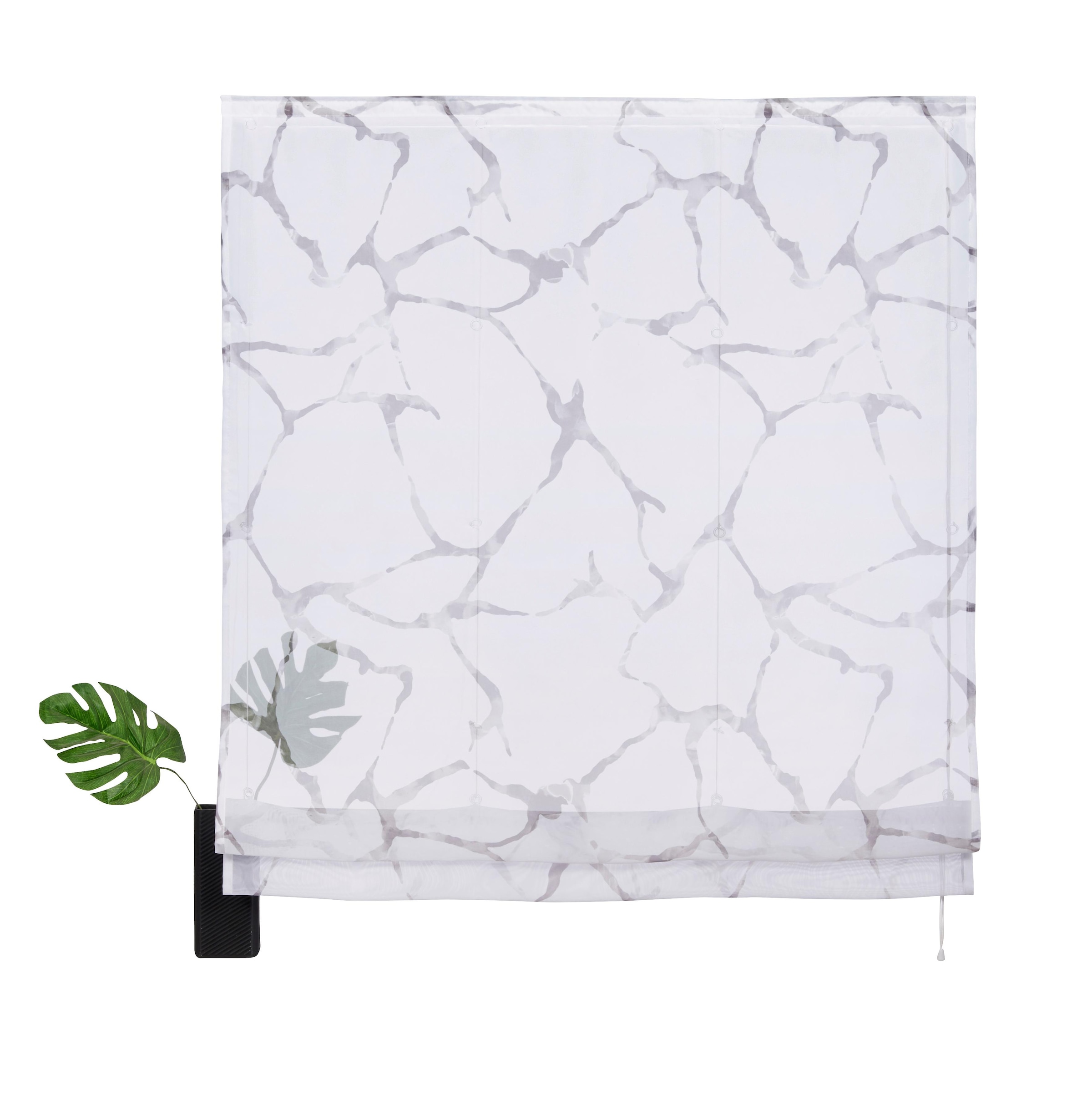 my home Raffrollo »Fulda«, mit Klettschiene, Transparent, Voile, Polyester günstig online kaufen