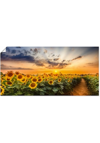 Artland Wandbild »Sonnenblumenfeld bei Sonnenuntergang«, Blumenbilder, (1 St.), in... kaufen