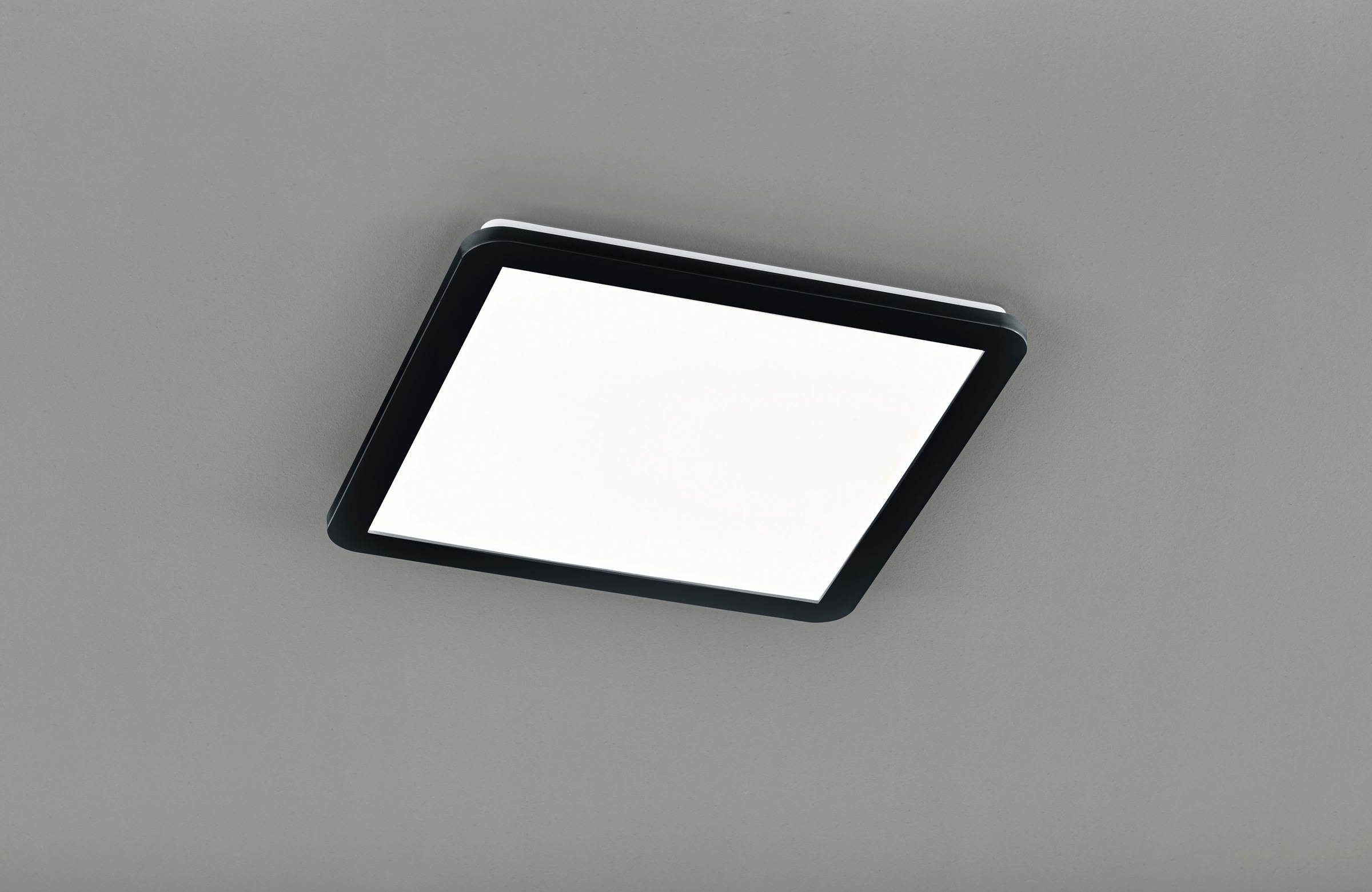 REALITY Leuchten LED Deckenleuchte »Camillus«, 1 flammig, Leuchtmittel LED- günstig online kaufen