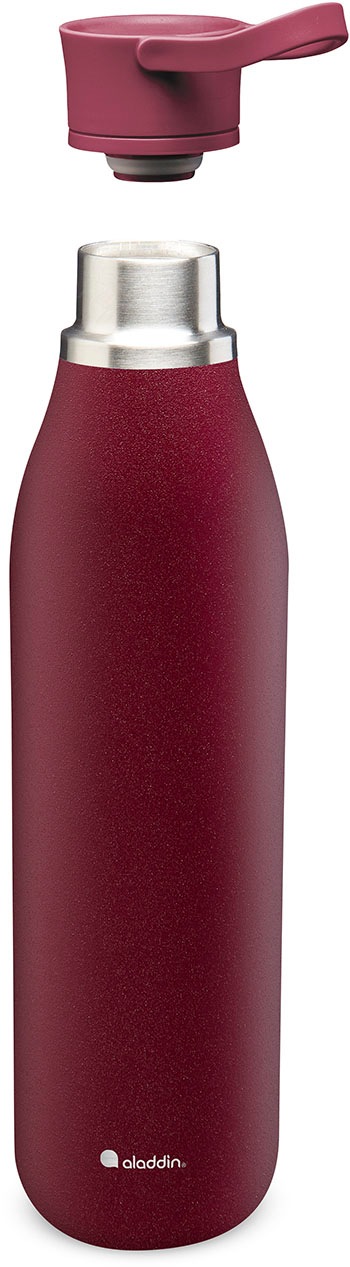 aladdin Trinkflasche »City Loop«, Edelstahl, 600 ml