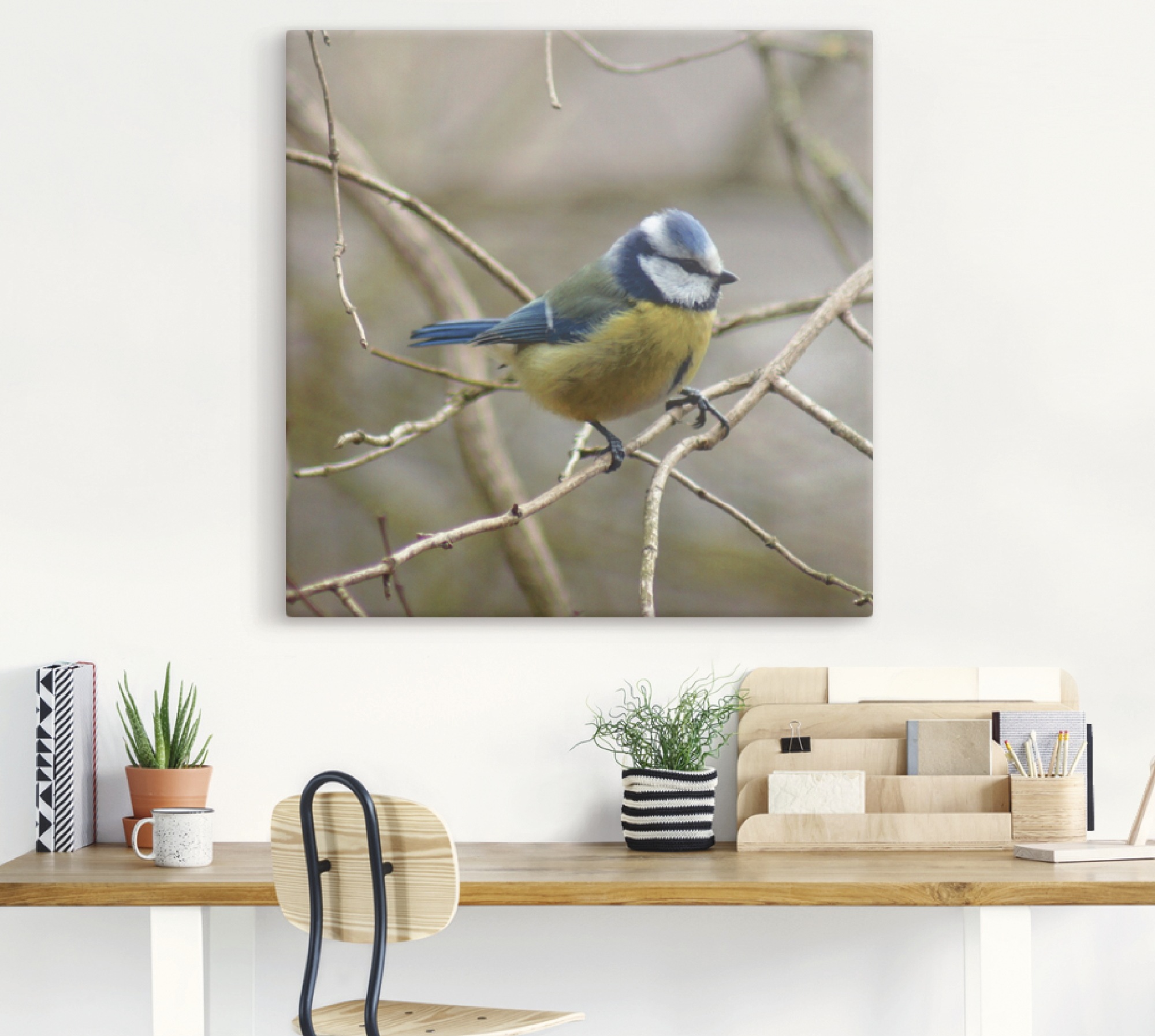 Artland Wandbild »Blaumeise«, Vögel, (1 St.), als Leinwandbild, Wandaufkleb günstig online kaufen