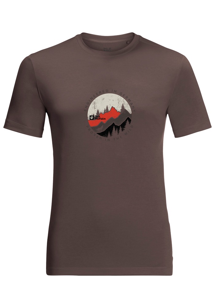 Jack Wolfskin T-Shirt »HIKING S/S T M«