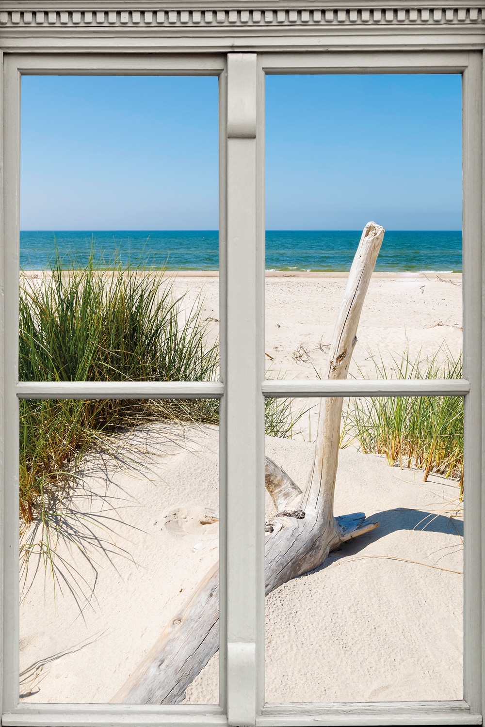 queence Leinwandbild "Langeoog", Düne-Gräser-Natur-Meer, (1 St.), Premium-L günstig online kaufen