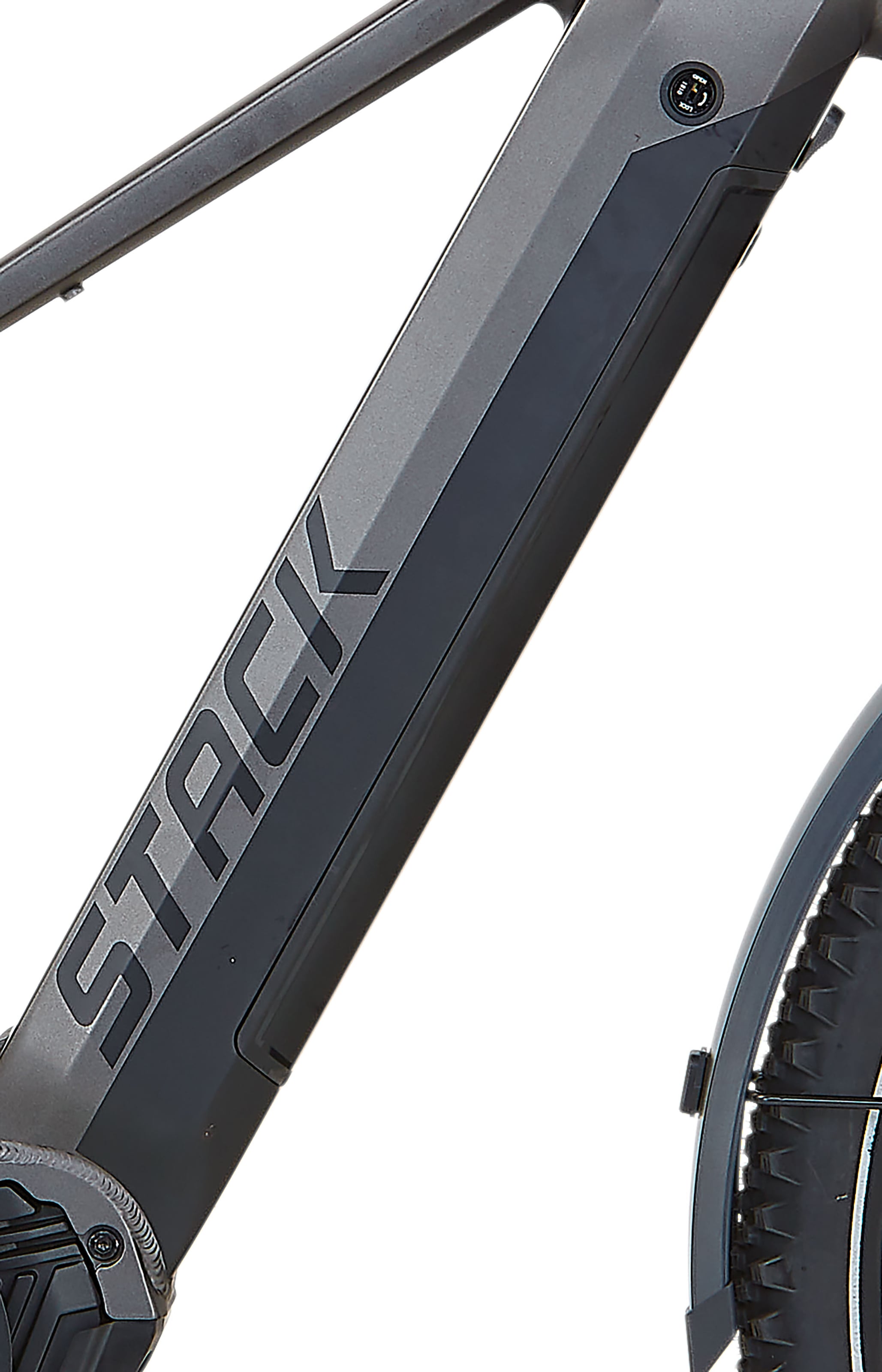 Prophete E-Bike »Stack 5.8«, 10 Gang, Shimano, Deore, Mittelmotor 250 W