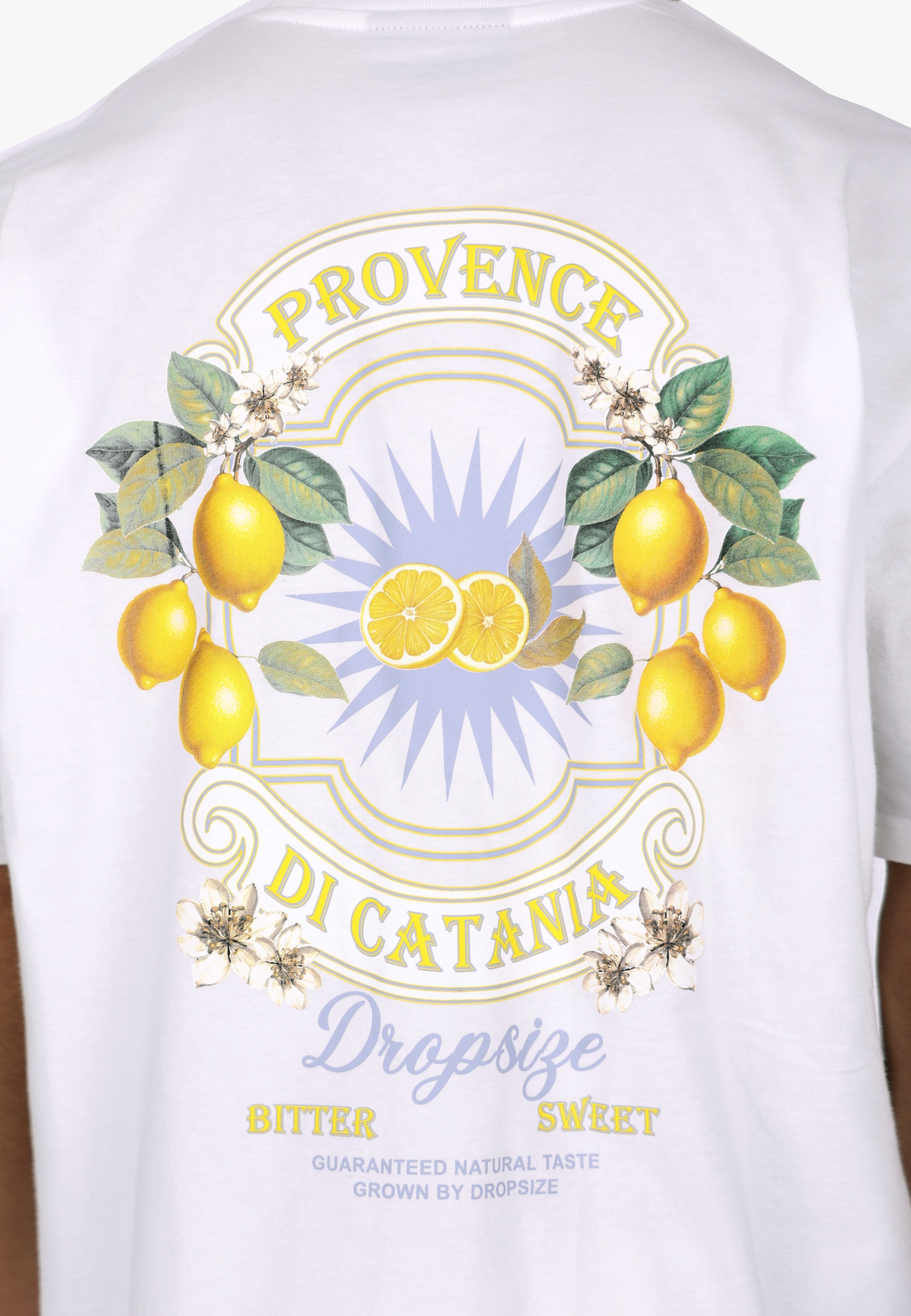 Dropsize T-Shirt »Dropsize HEAVY OVERSIZE CITRUS T-SHIRT« 1 Stk.