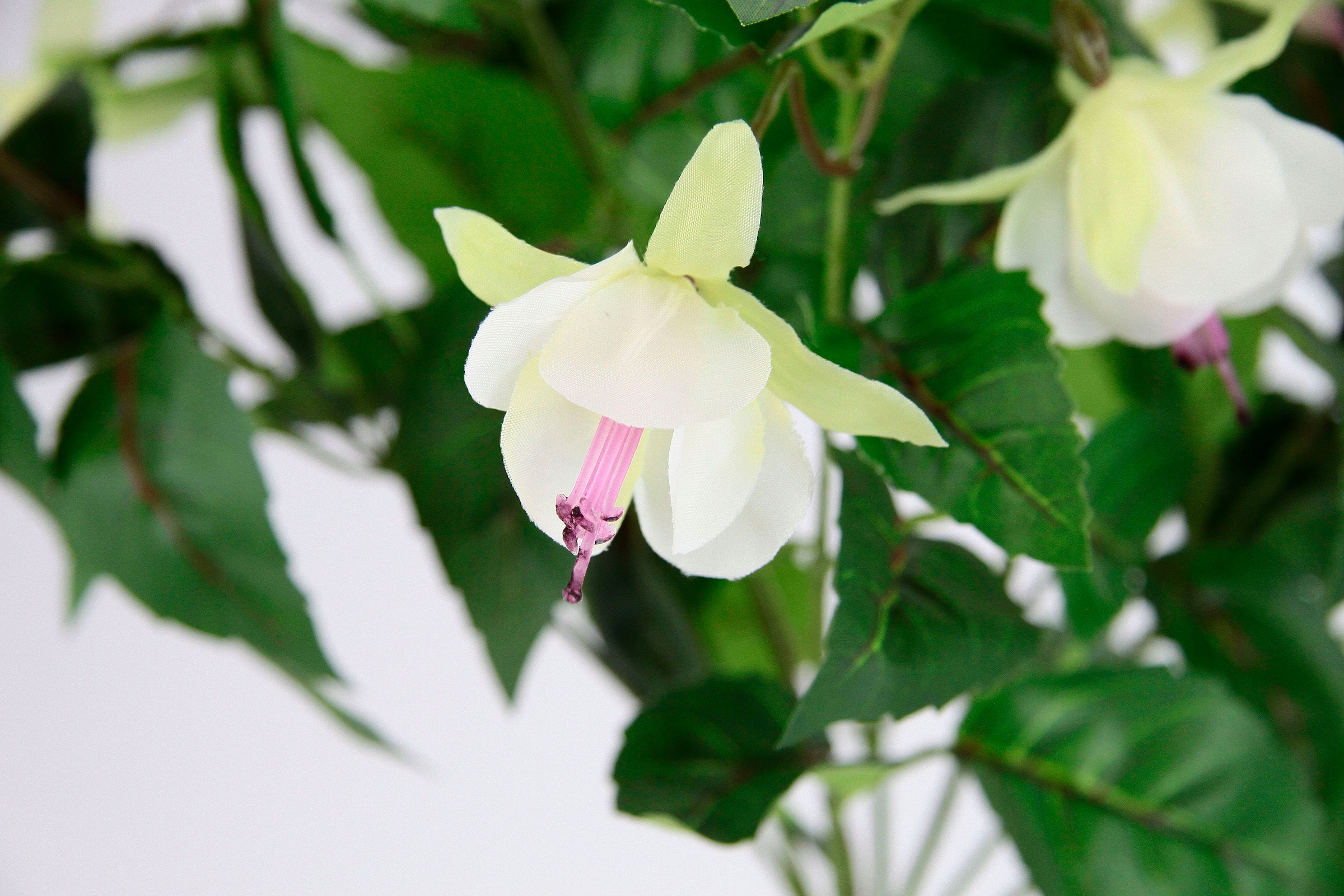 I.GE.A. Kunstblume »Fuchsienbusch«, 2er Zimmerpflanze Set Doppelblütenblätter Hort Topfpflanze Raten Deko kaufen Hybrid auf