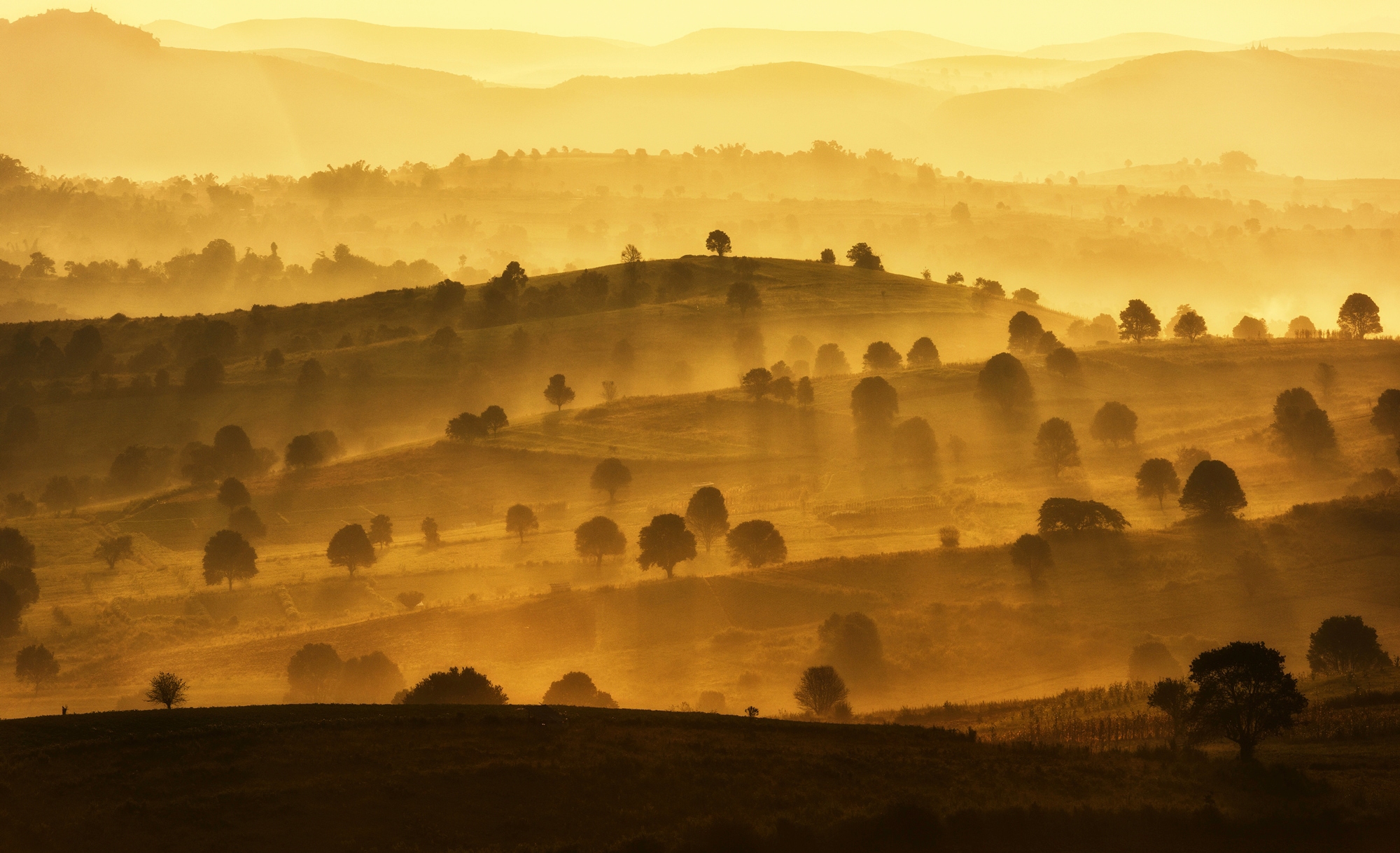 Papermoon Fototapete »BERGE-LANDSCHAFT DORF WIESE NEBEL GEBIRGE SONNE WALD« günstig online kaufen