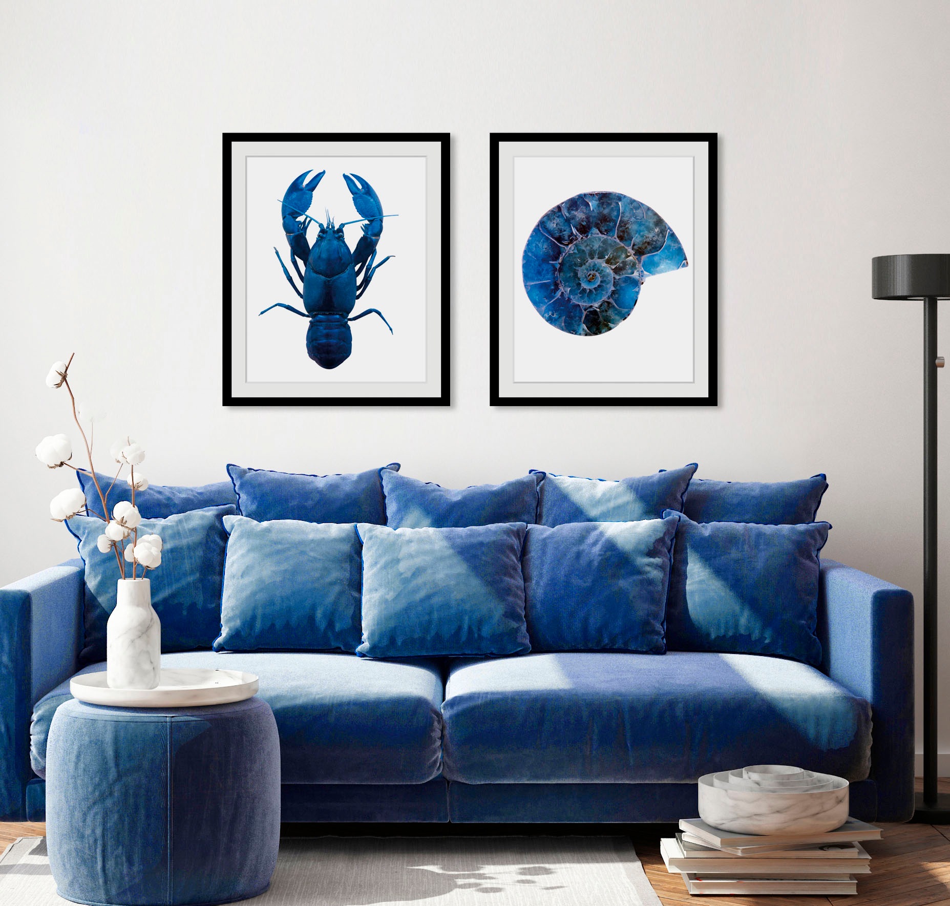 queence Bild »Abel«, Meer-Wassertiere-Kunst, (1 St.), HD Premium Poster-Dru günstig online kaufen