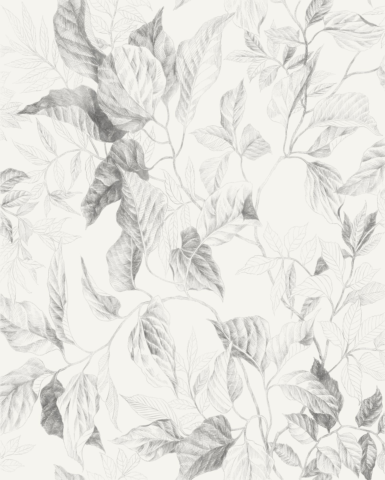 Komar Fototapete »Vlies Fototapete - Jeu de Feuilles - Größe 200 x 250 cm« Motiv | bedruckt glatt