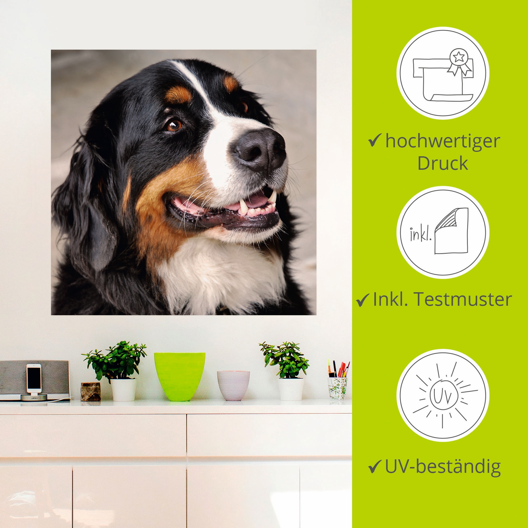 Artland Wandbild »Berner Sennenhund«, Haustiere, (1 St.), als Poster, Wandaufkleber in verschied. Größen