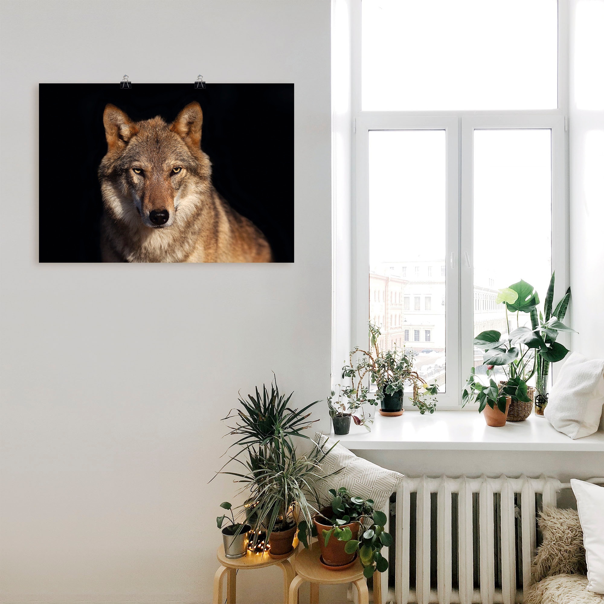 oder Leinwandbild, Wandbild Wildtiere, Poster auf versch. Rechnung Wandaufkleber Artland als Größen St.), (1 »Wolf«, bestellen in Alubild,