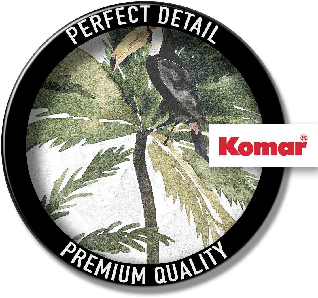 Komar Bild »Tropical Toucan«, Natur, (1 St.), Wandbild zur Dekoration - ohne Rahmen