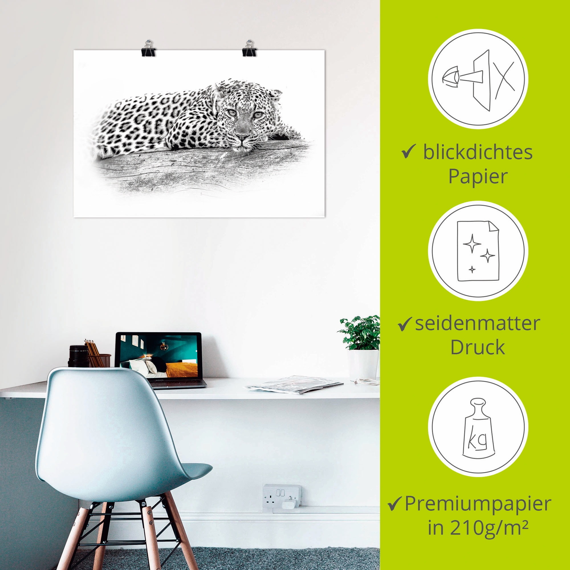 Artland Wandbild »Leopard High Key Optik«, Wildtiere, (1 St.), als Alubild, Leinwandbild, Wandaufkleber oder Poster in versch. Größen