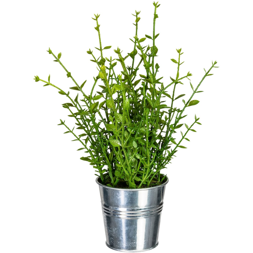 Creativ green Kunstpflanze »Kräutermix im Zinktopf«